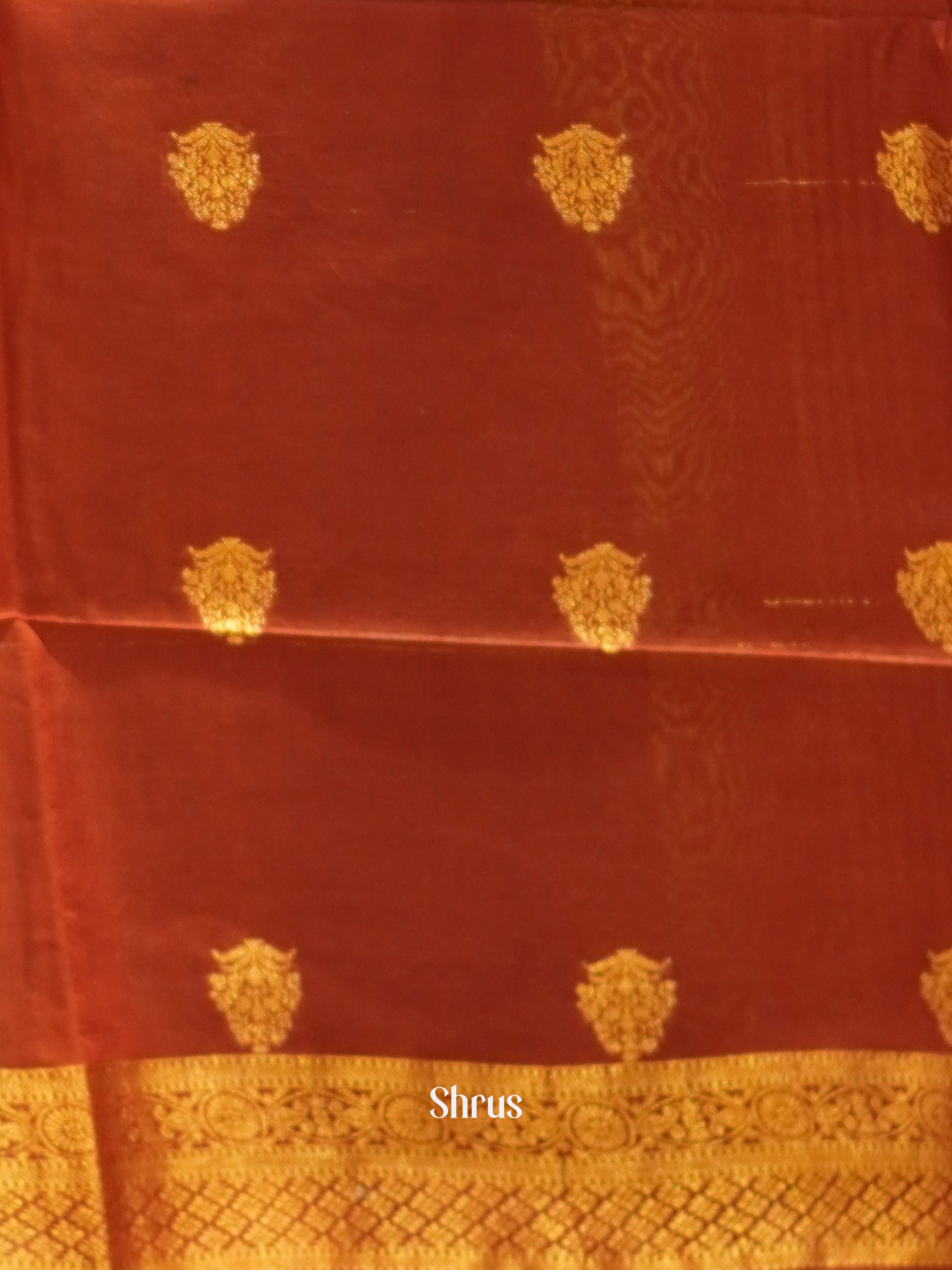 CES02288 - Semi Tussar Saree