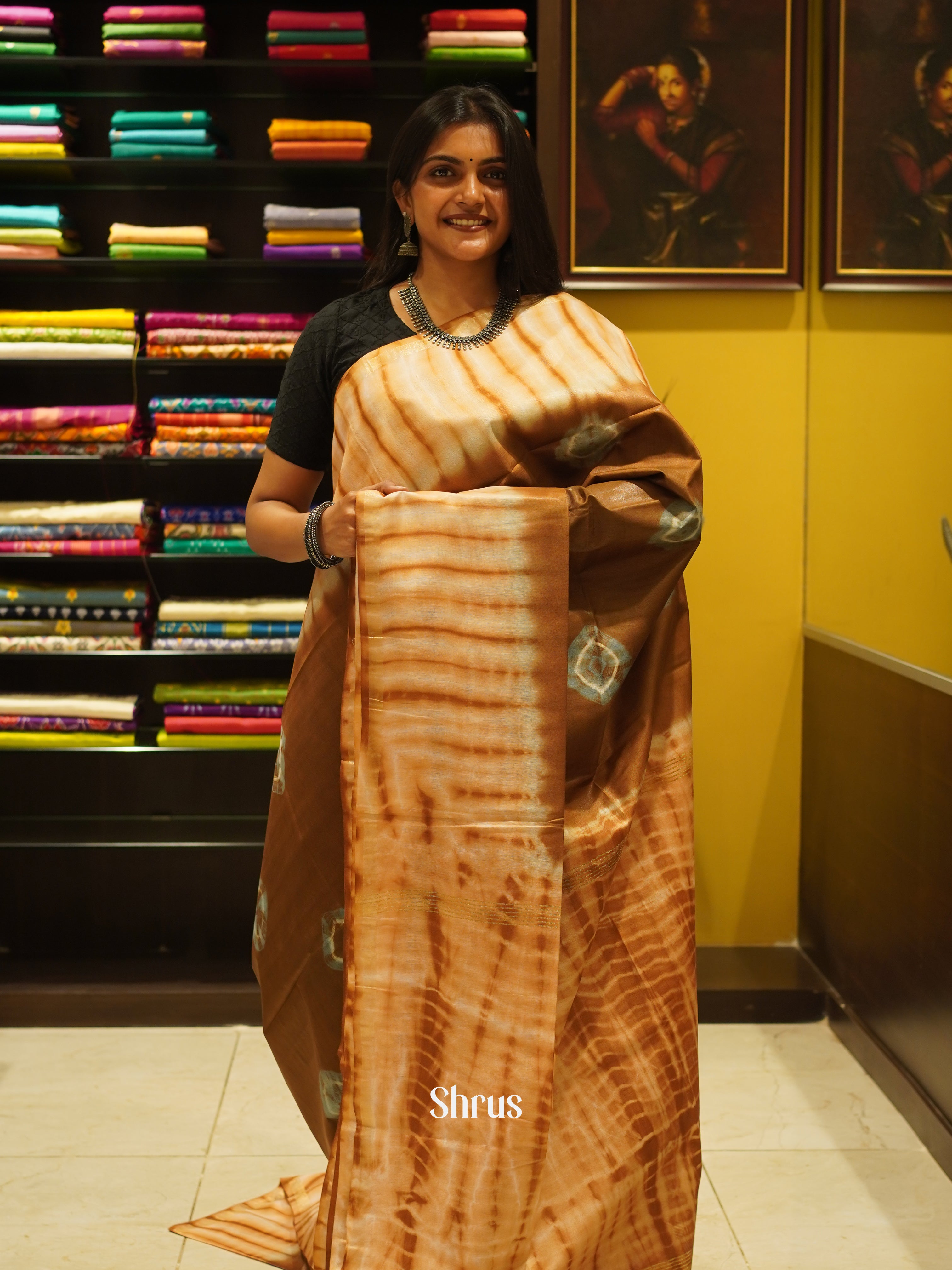 Brown & Grey - Shibori Saree