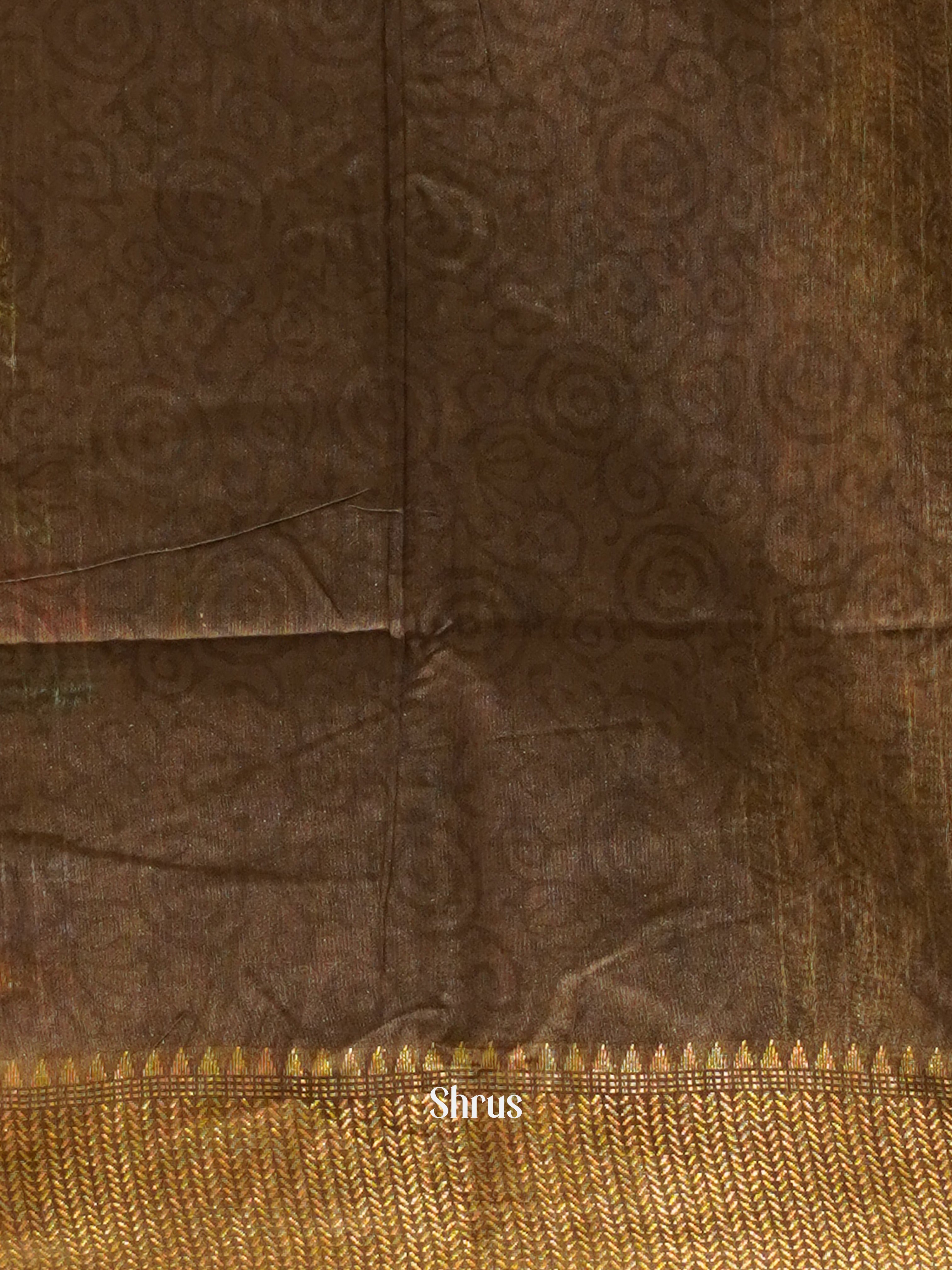 Cream & Brown - Semi Chanderi Saree - Shop on ShrusEternity.com