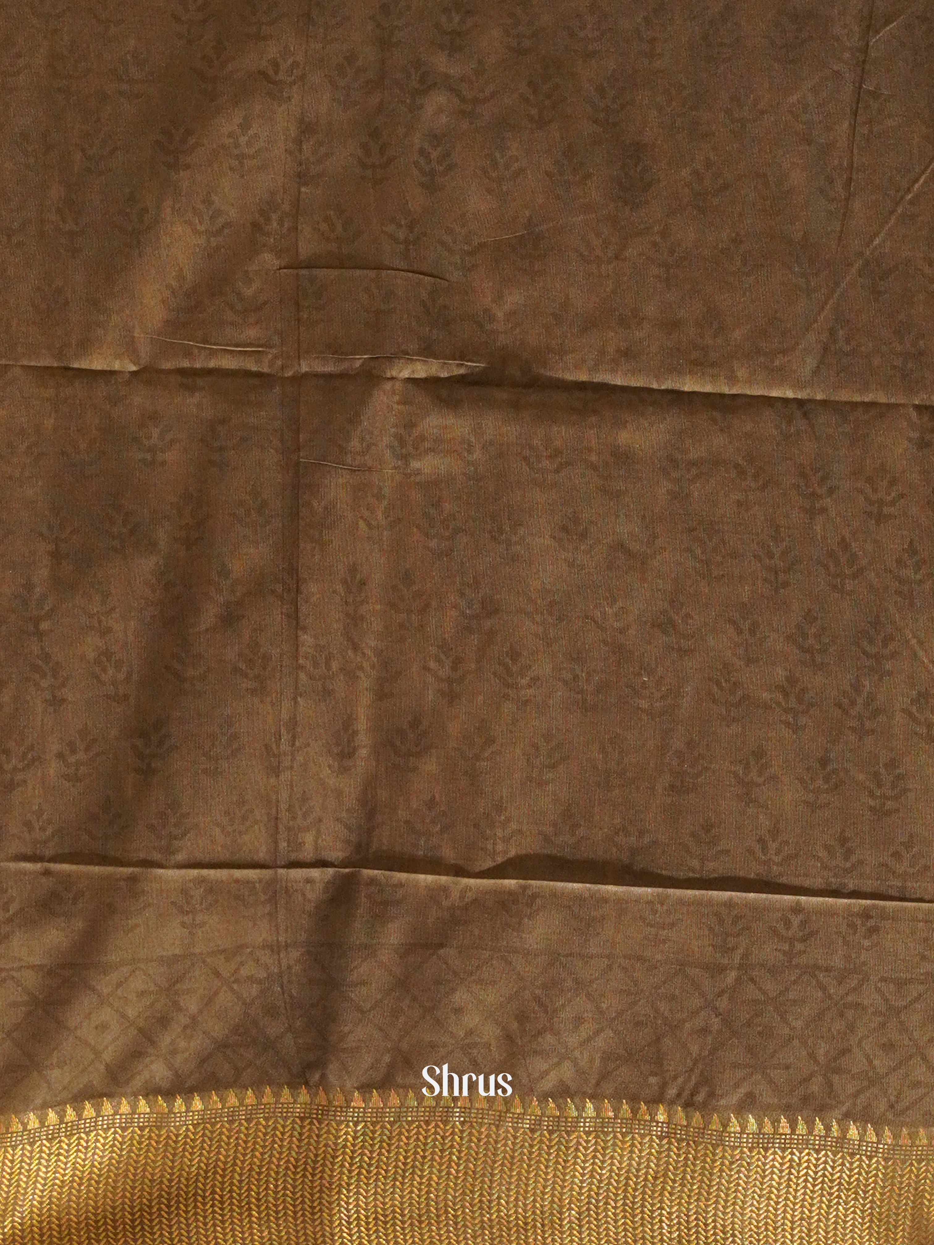 Cream & Brown  - Semi Chanderi Saree - Shop on ShrusEternity.com