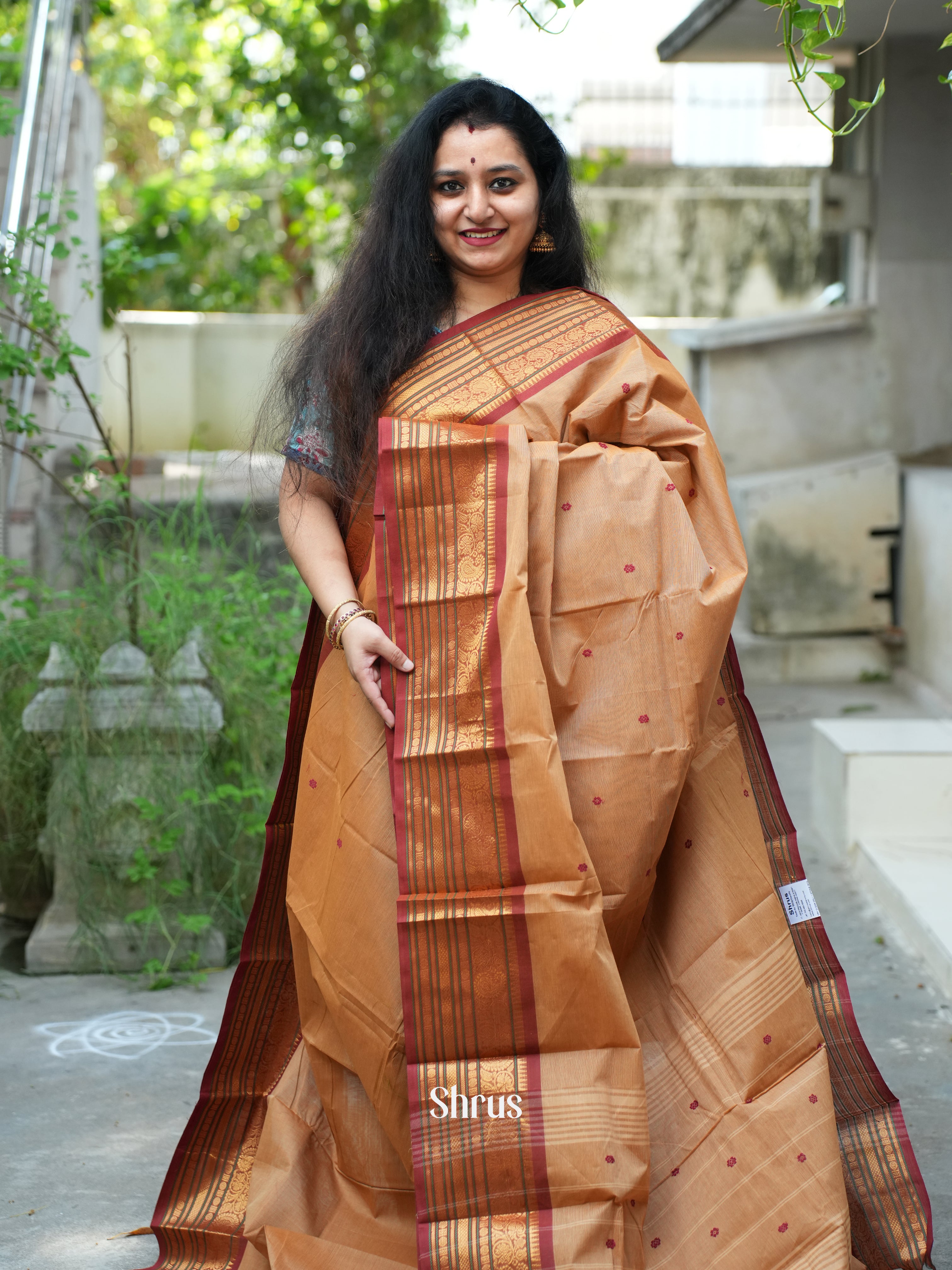 Dusty Brown & Brown - Chettinad Cotton Saree - Shop on ShrusEternity.com