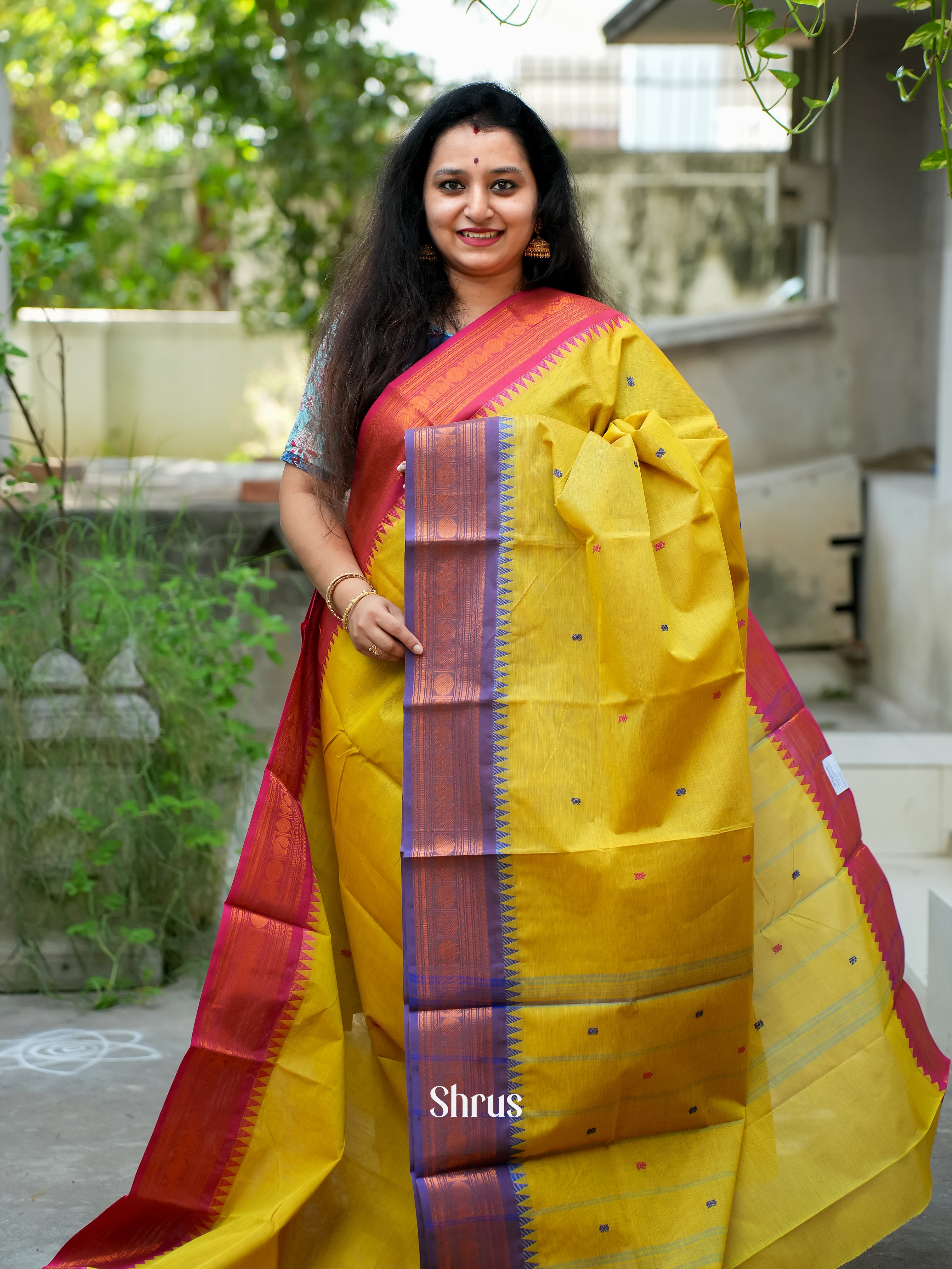 Mustard Green & Purple - Chettinad Cotton Saree