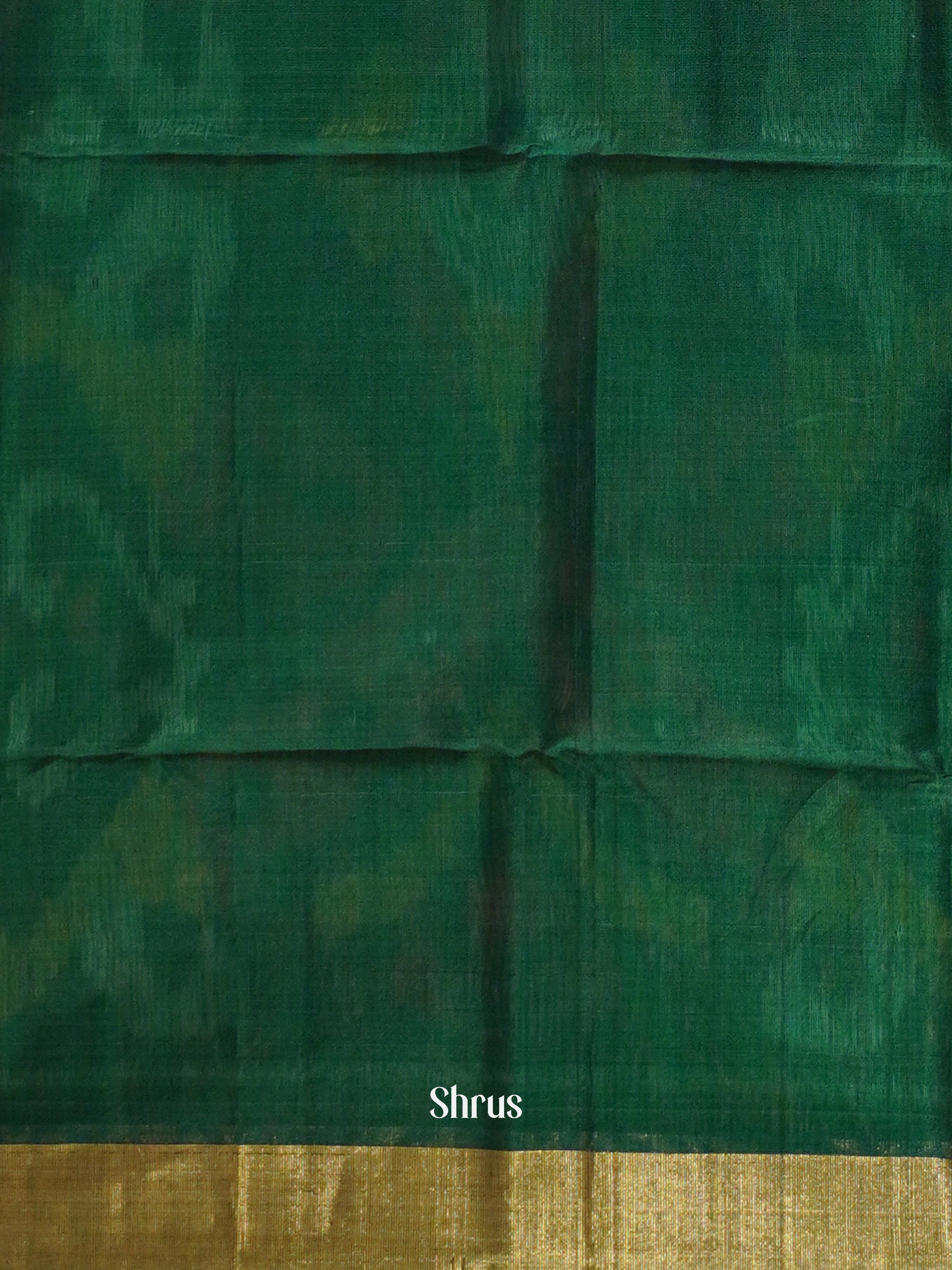 Grey & Green - Pochampally sico Saree