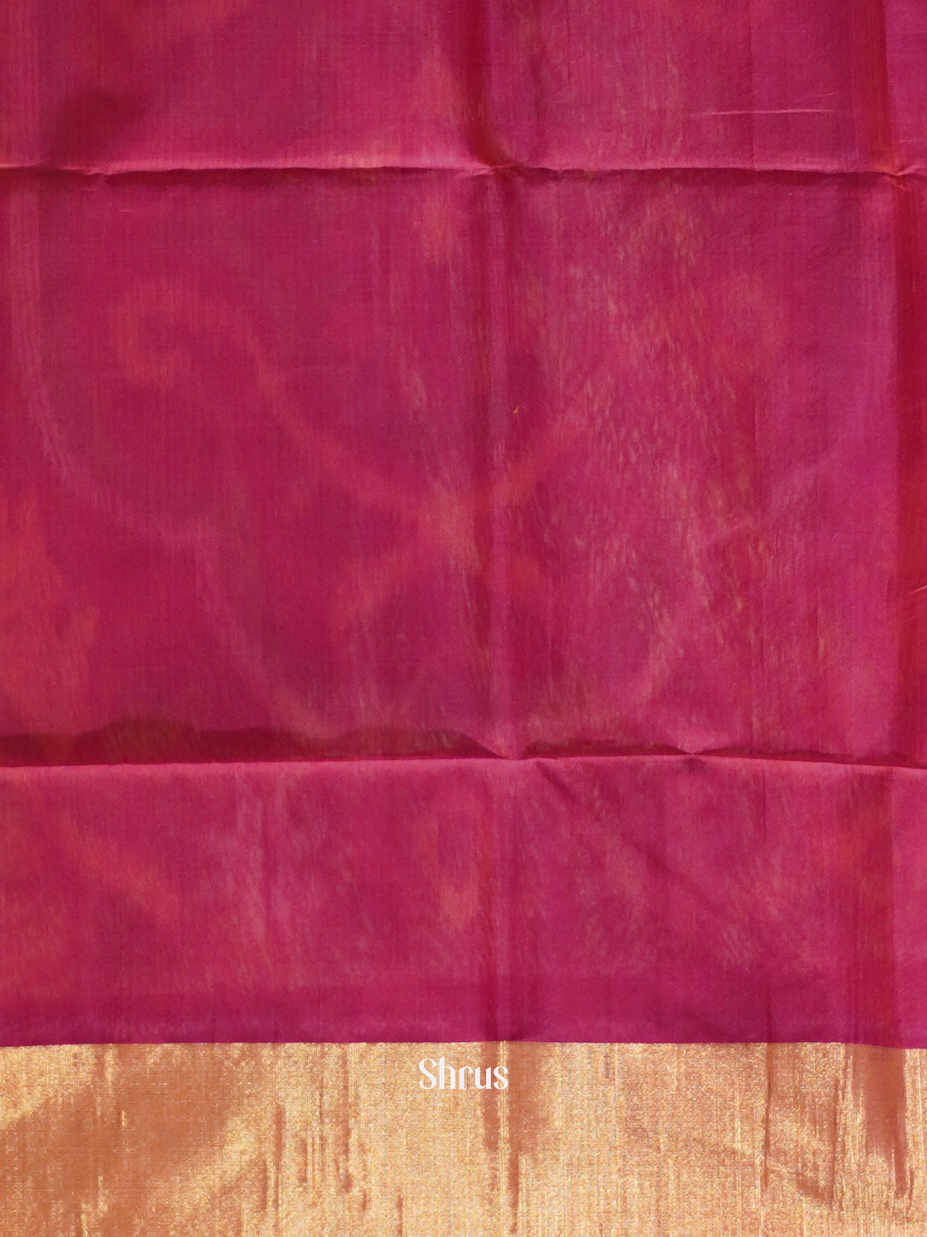 Beige & Purple - Pochampally sico Saree