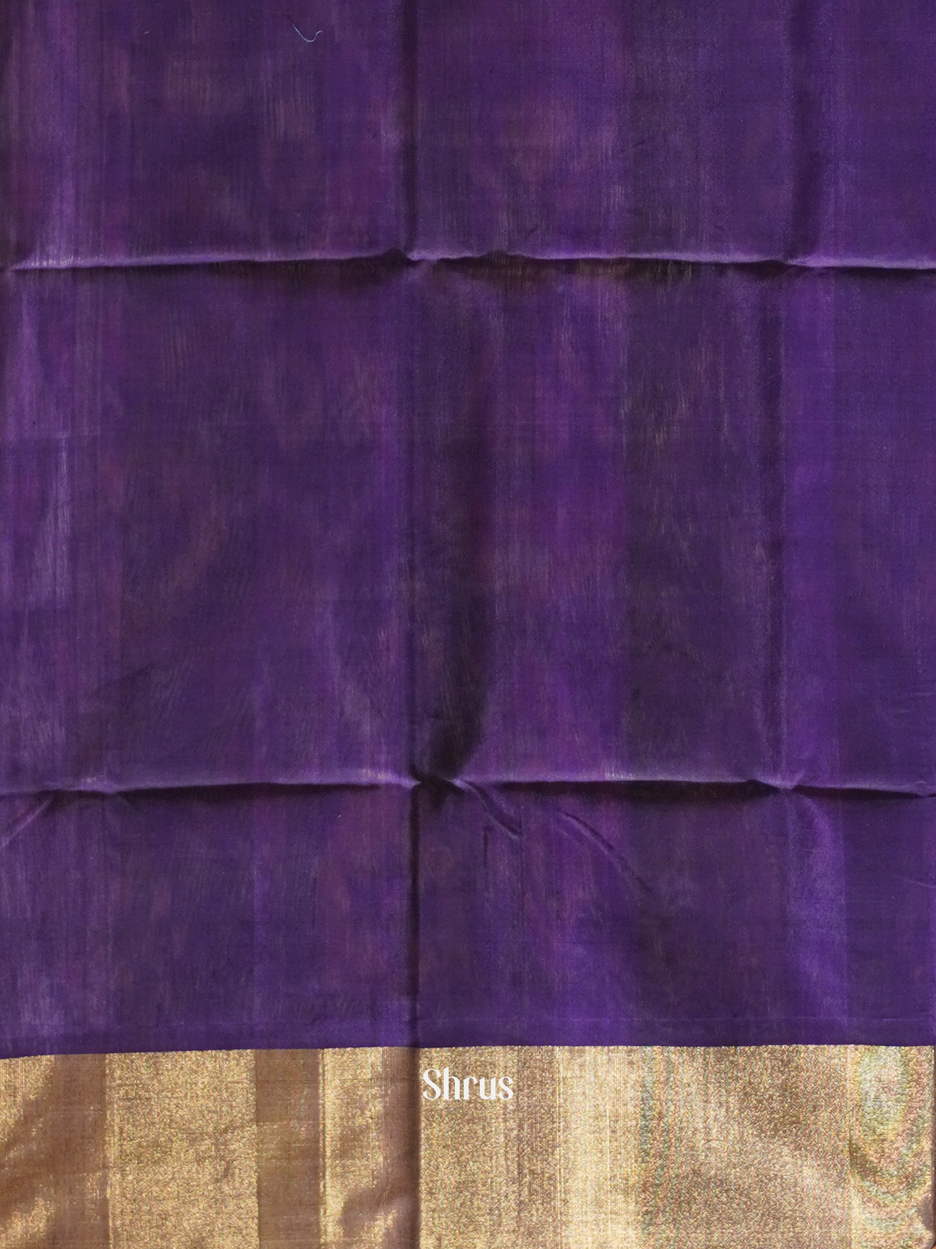 Grey & Violet - Pochampally sico Saree