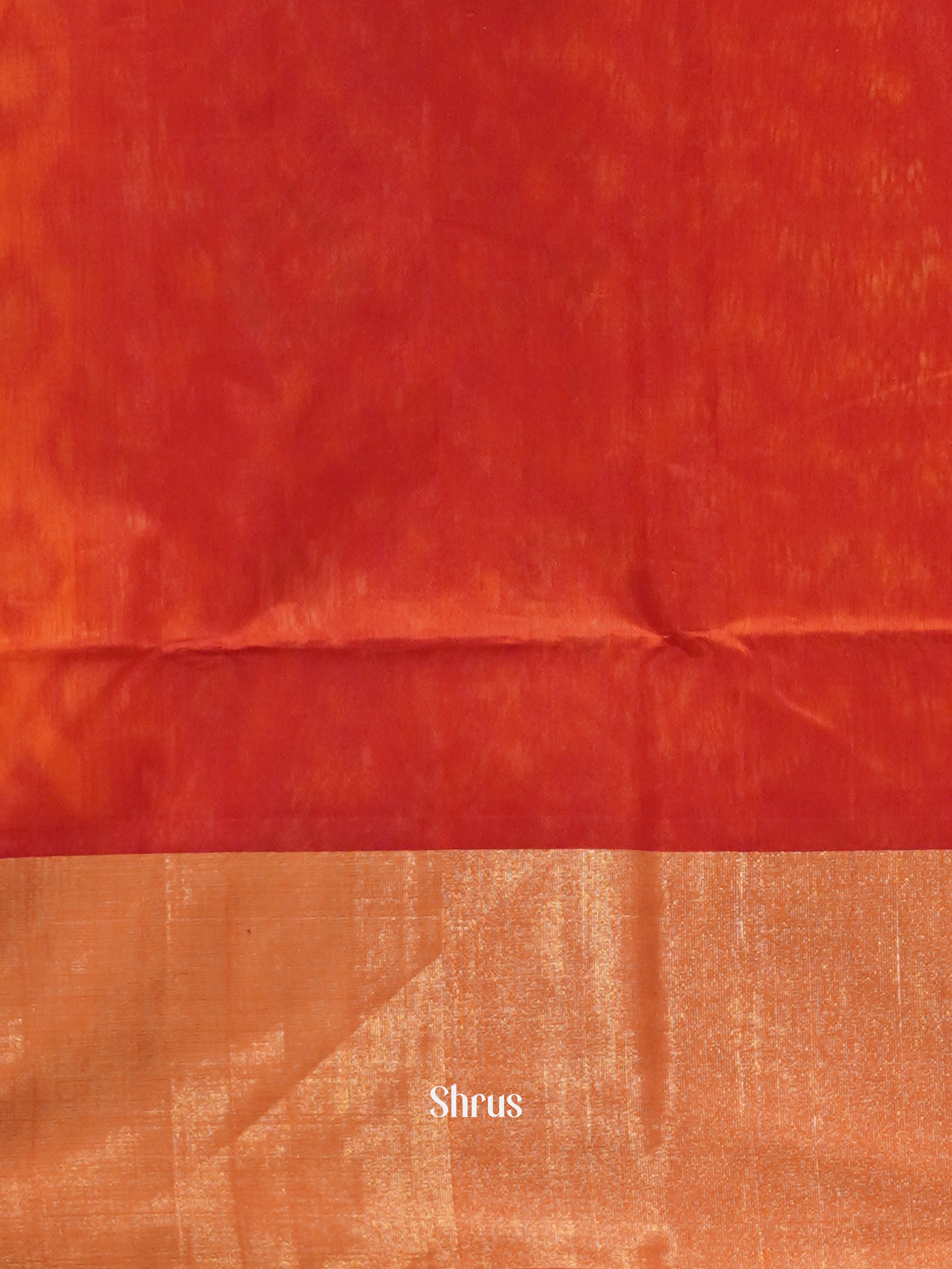 Orange & Red - Pochampally sico Saree - Shop on ShrusEternity.com