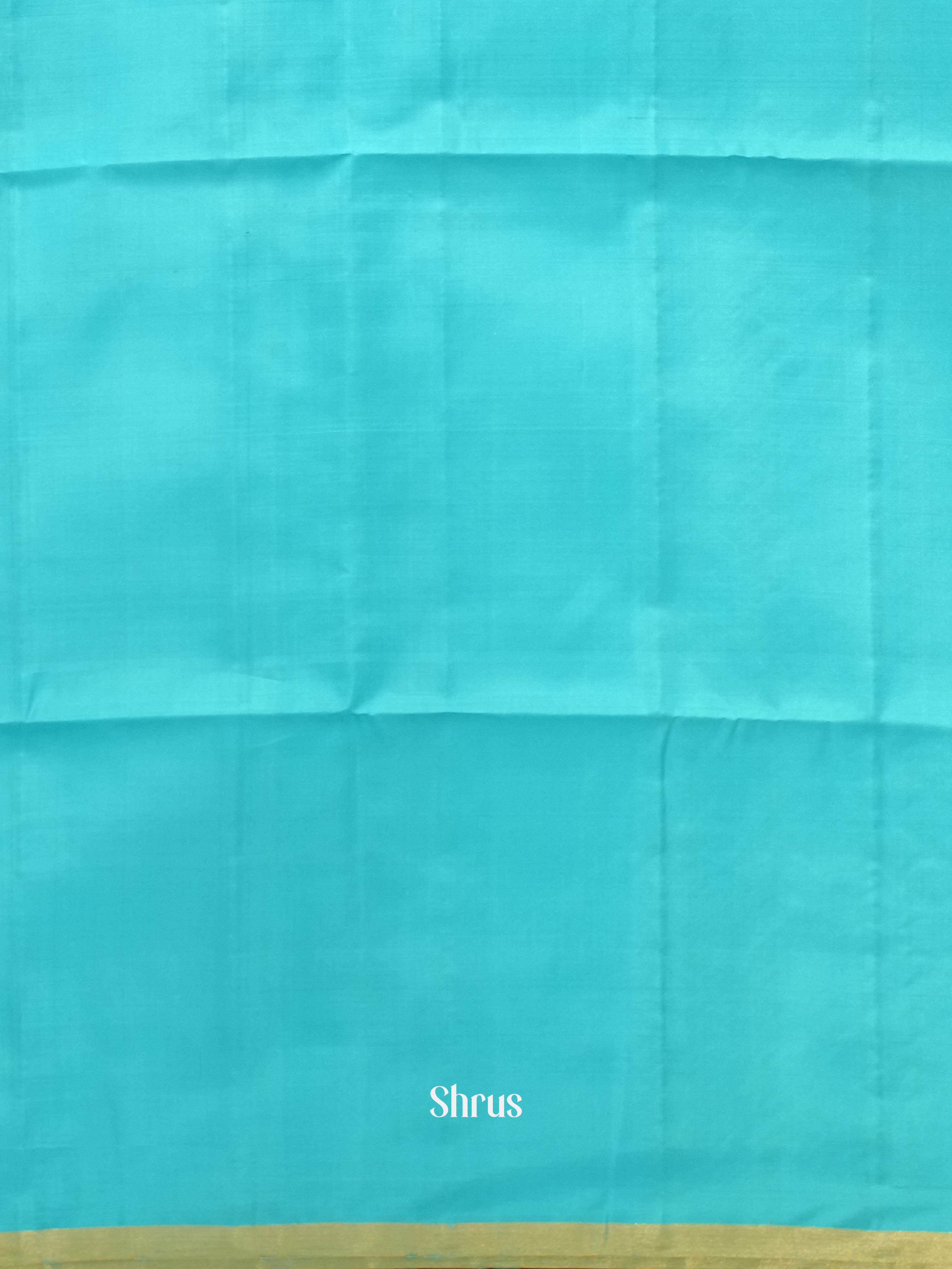 Sky Blue(Single Tone) - Soft Silk Saree - Shop on ShrusEternity.com