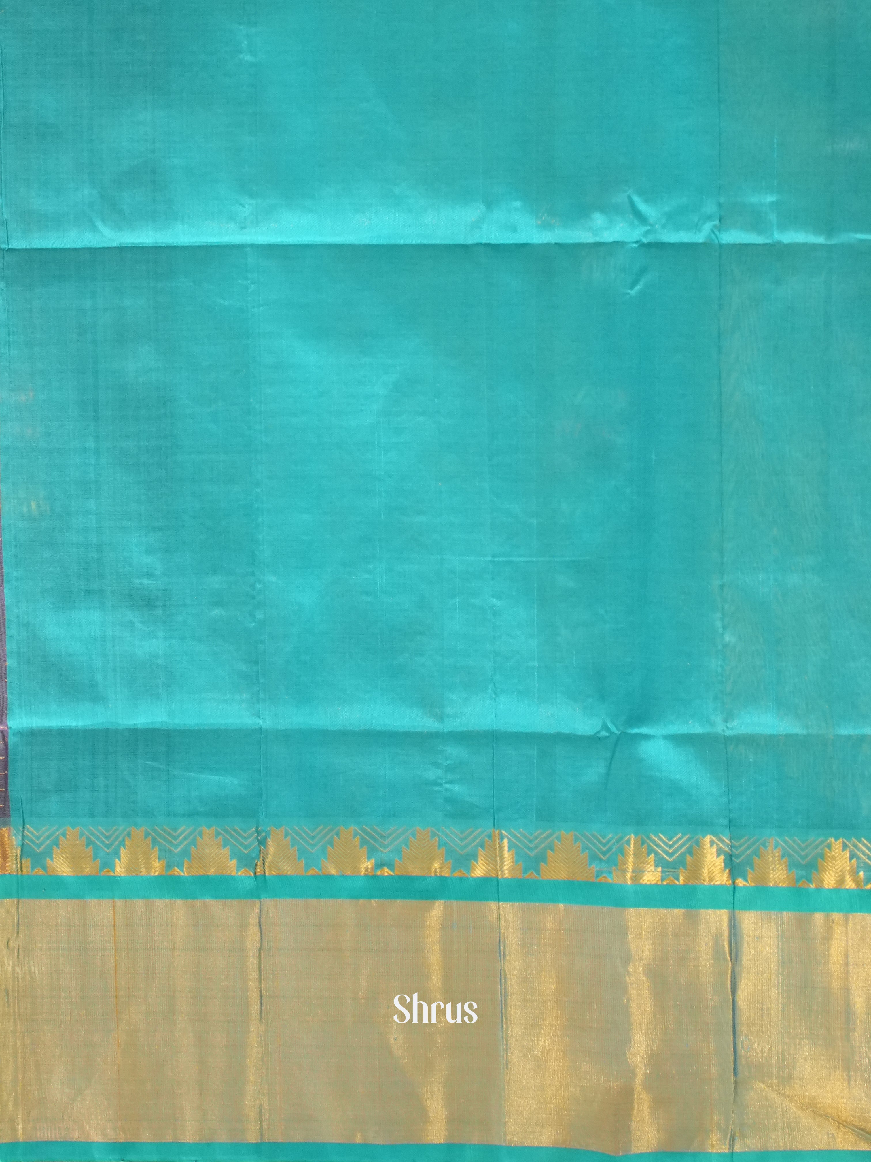 CES10129 - Silk Cotton Saree - Shop on ShrusEternity.com