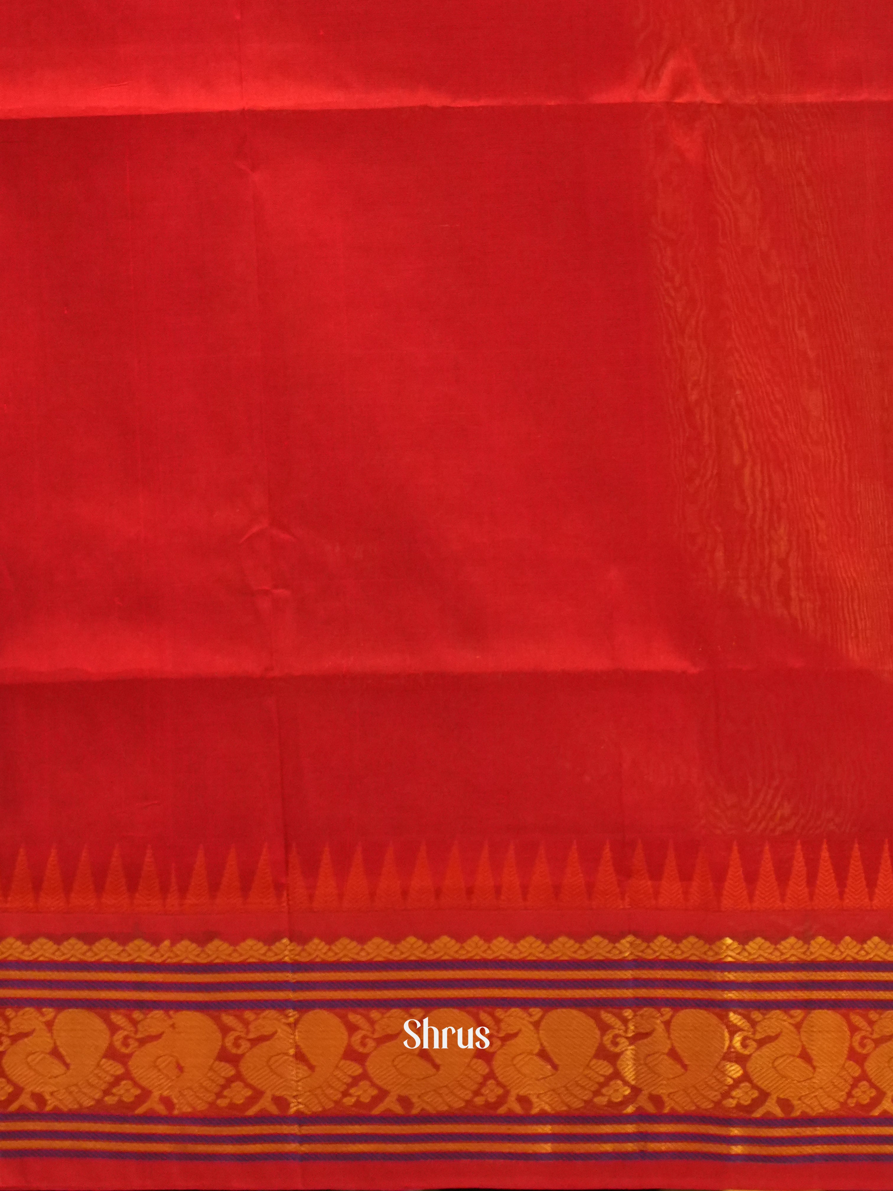 Violet & Red - Silk Cotton Saree - Shop on ShrusEternity.com