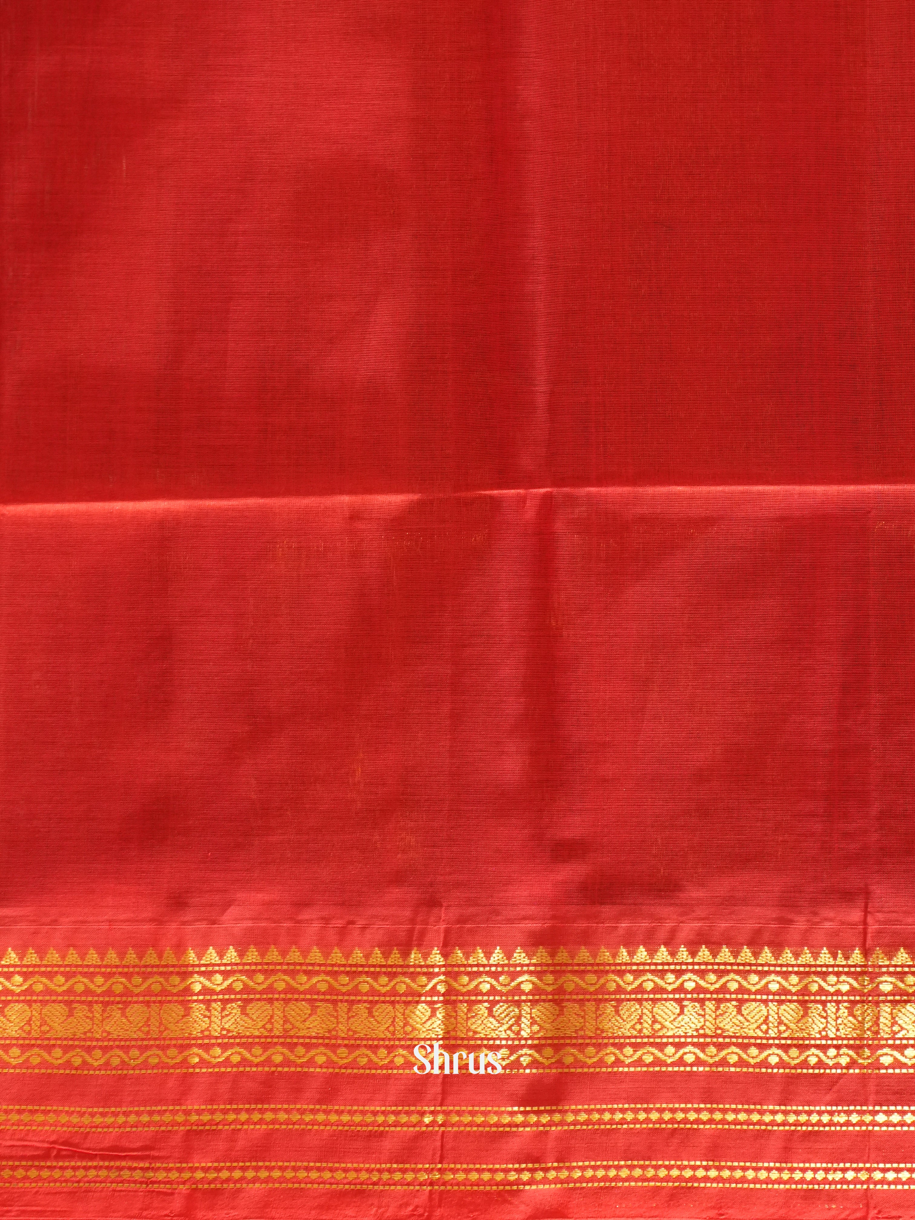 Navy Blue & Red- Silk Cotton Saree