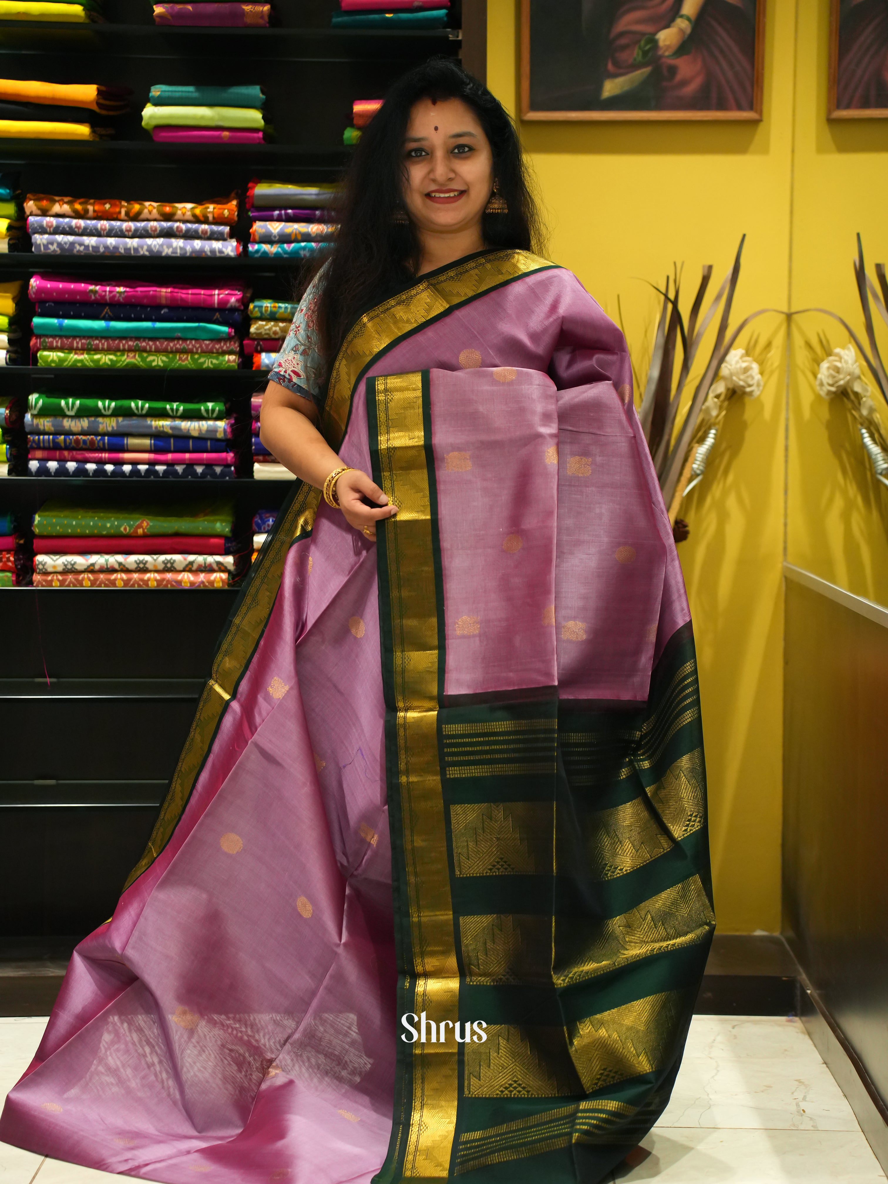 Onion Pink & Green - Silk Cotton Saree - Shop on ShrusEternity.com