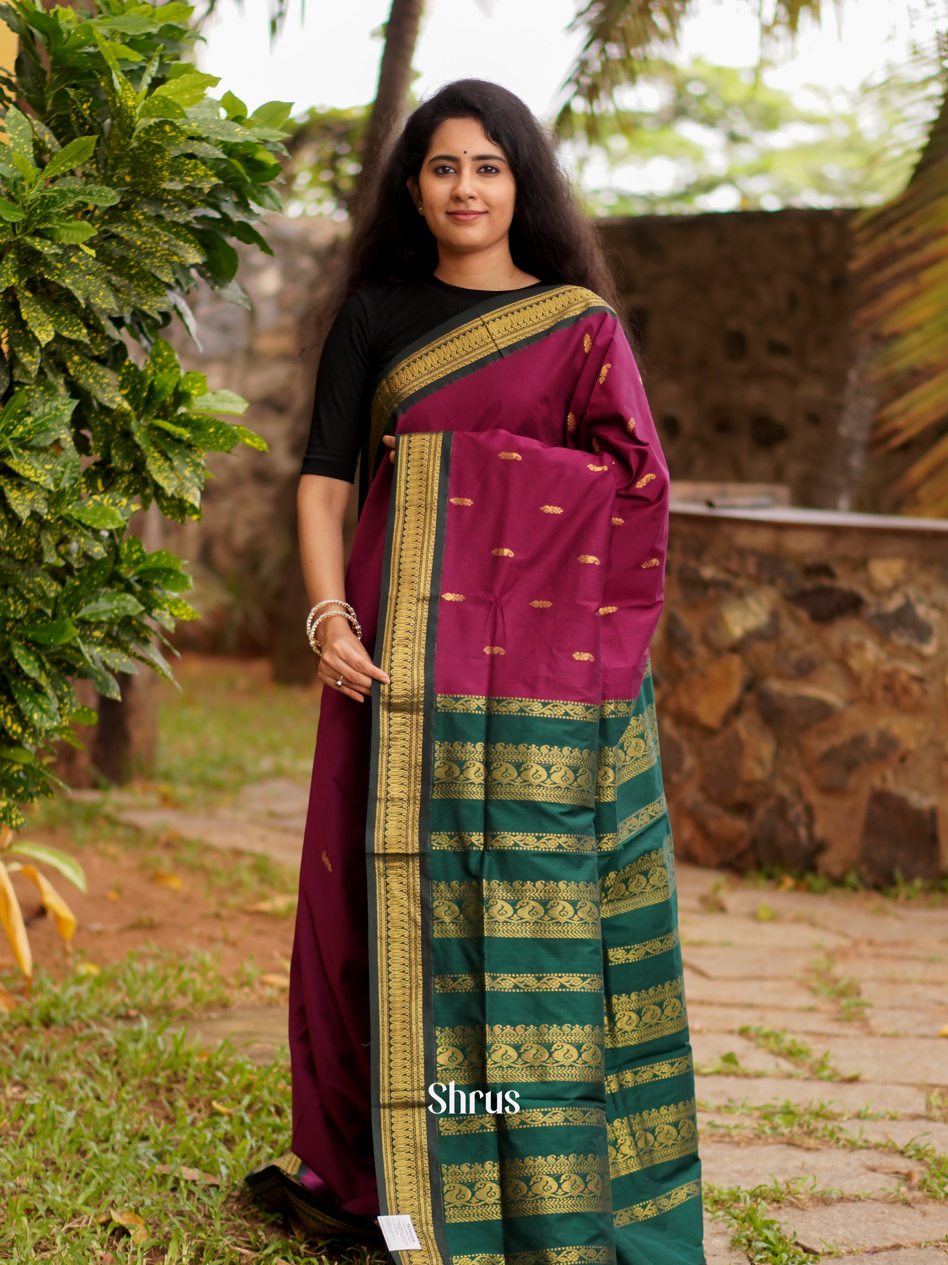 Purple & Green - Kalyani Cotton Saree