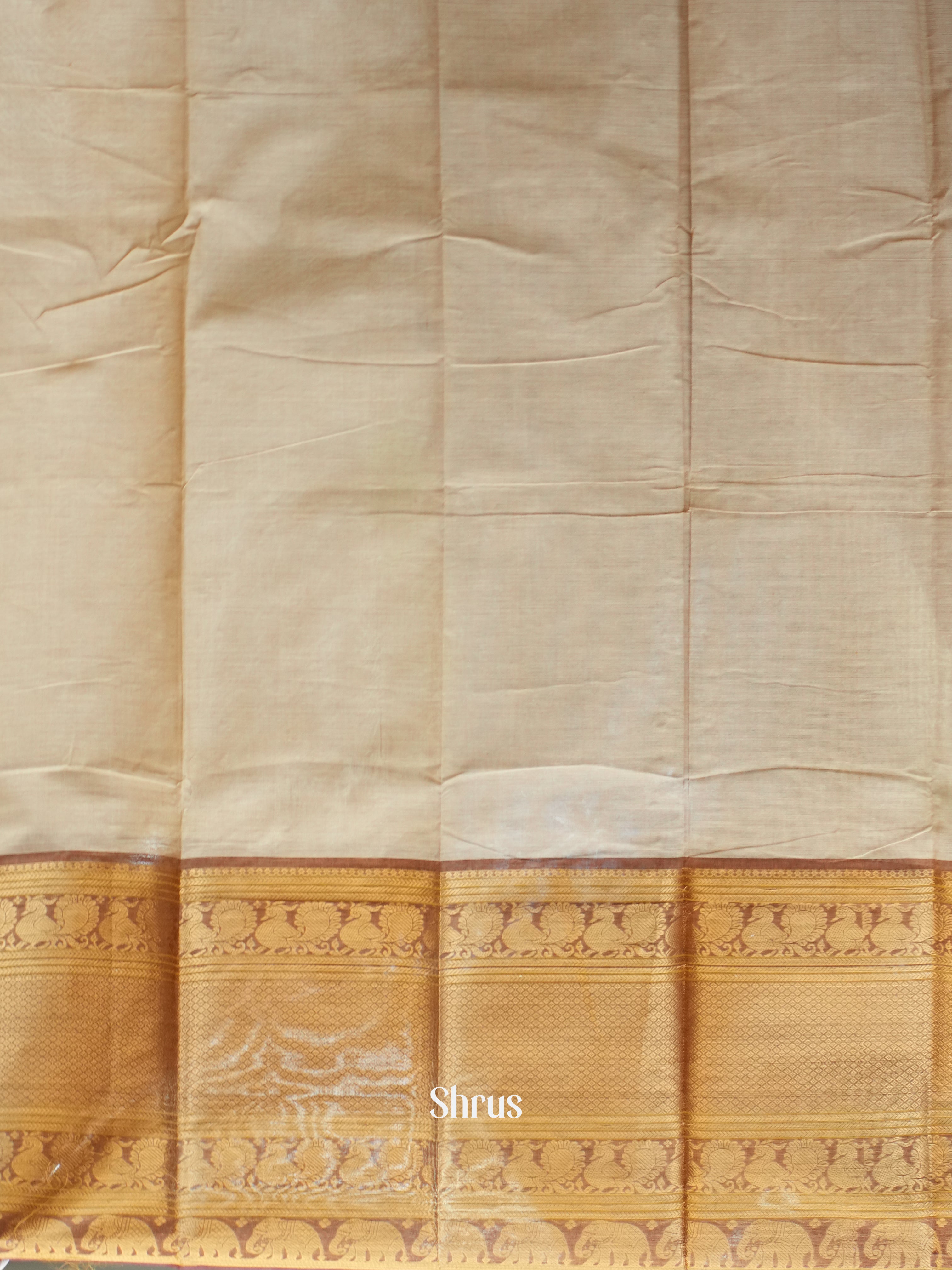 Beige & Gold -Narayanpet Cotton Saree - Shop on ShrusEternity.com