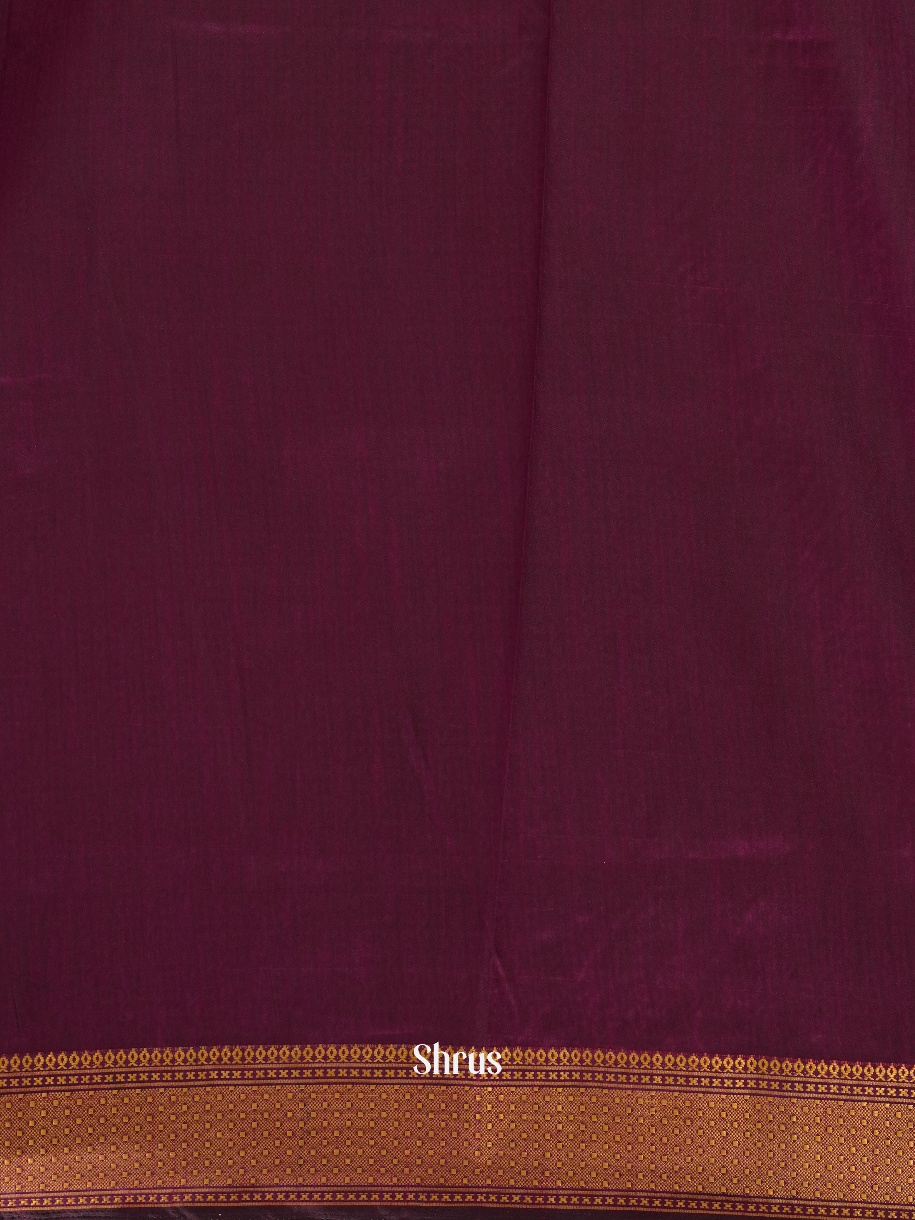 CES24301 - Semi Patola Saree