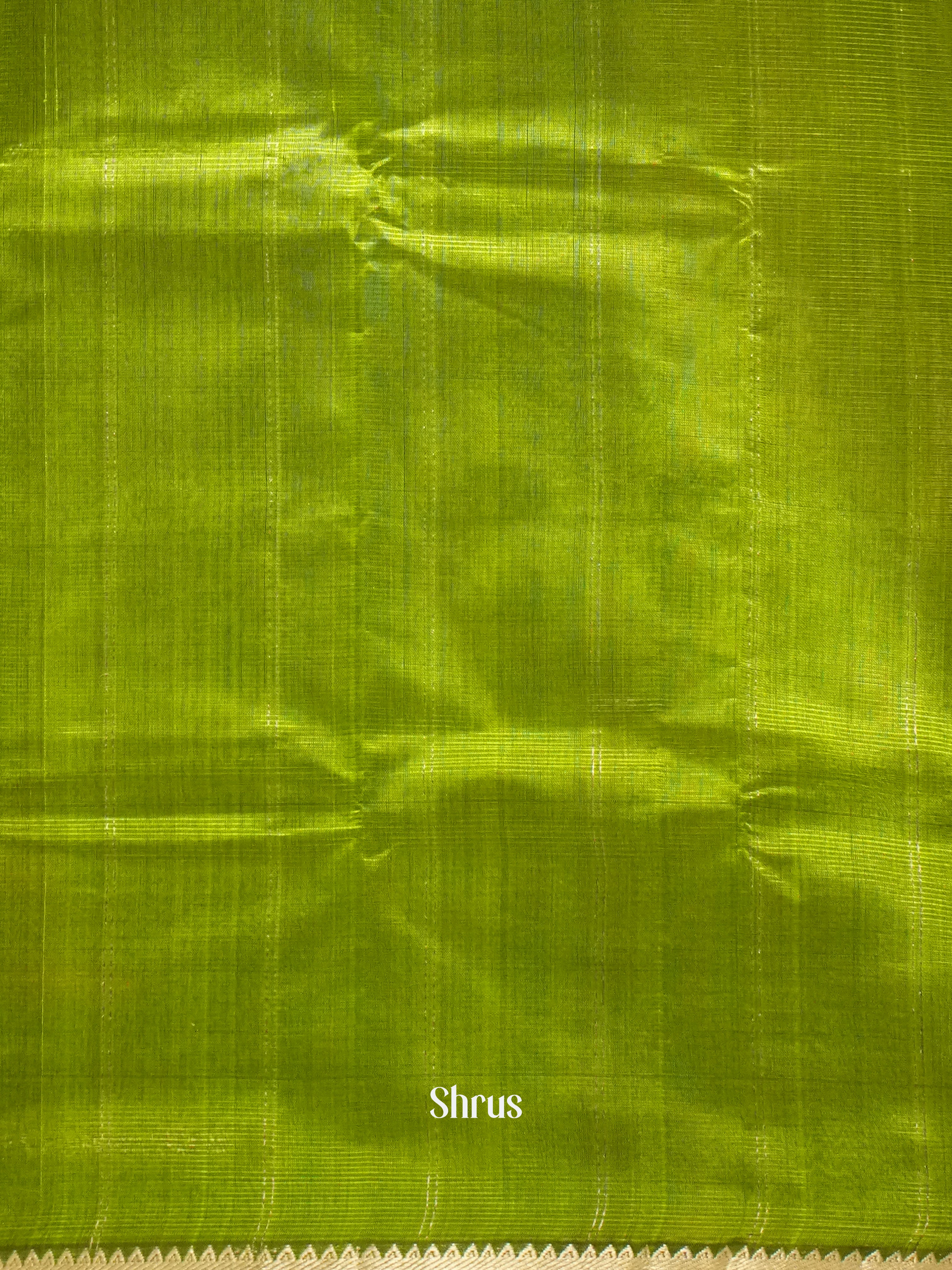 Light Green (Single tone) - Mangalagiri Silk Cotton saree