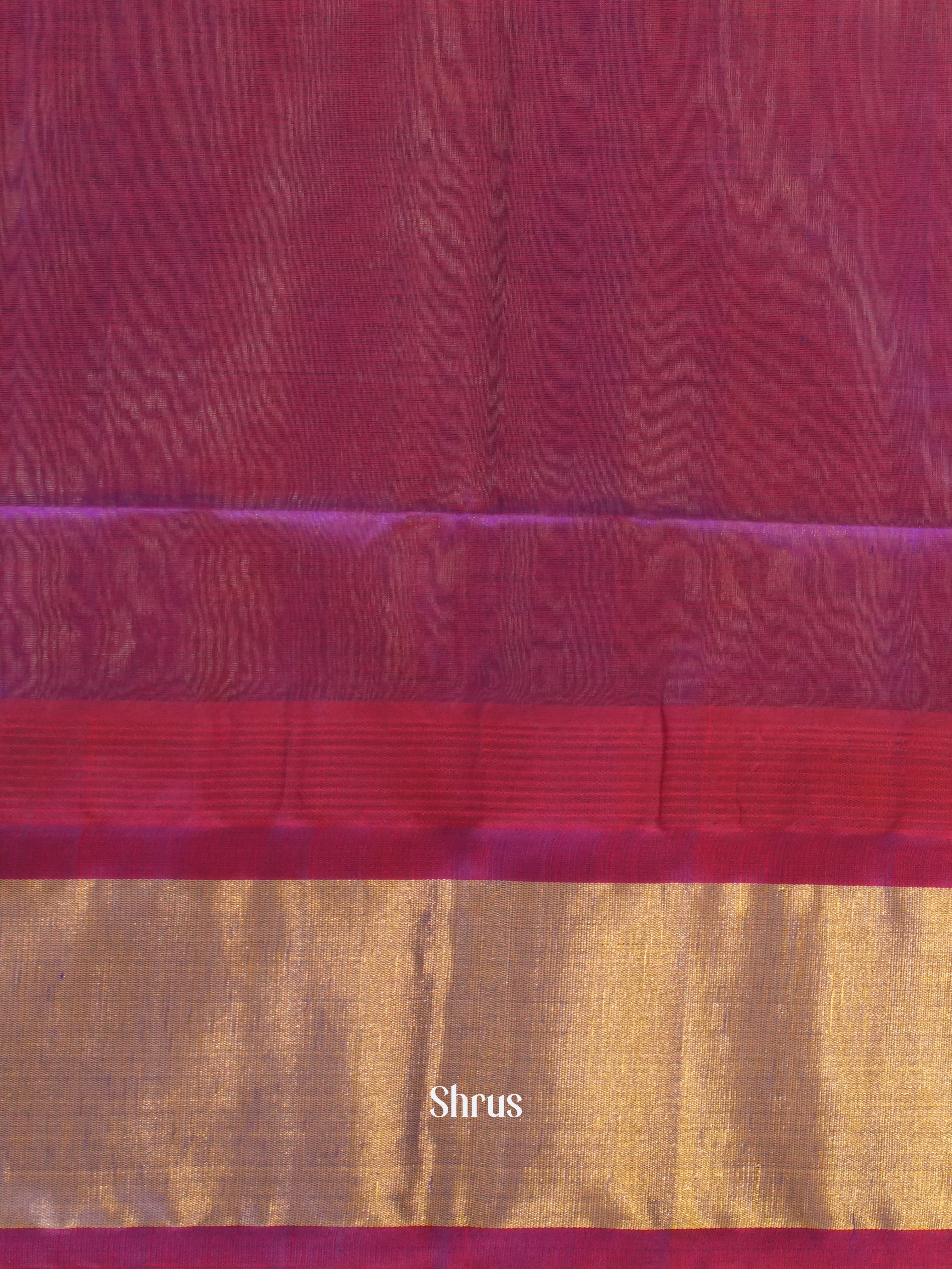 Cream & Purple - Silk Cotton Saree