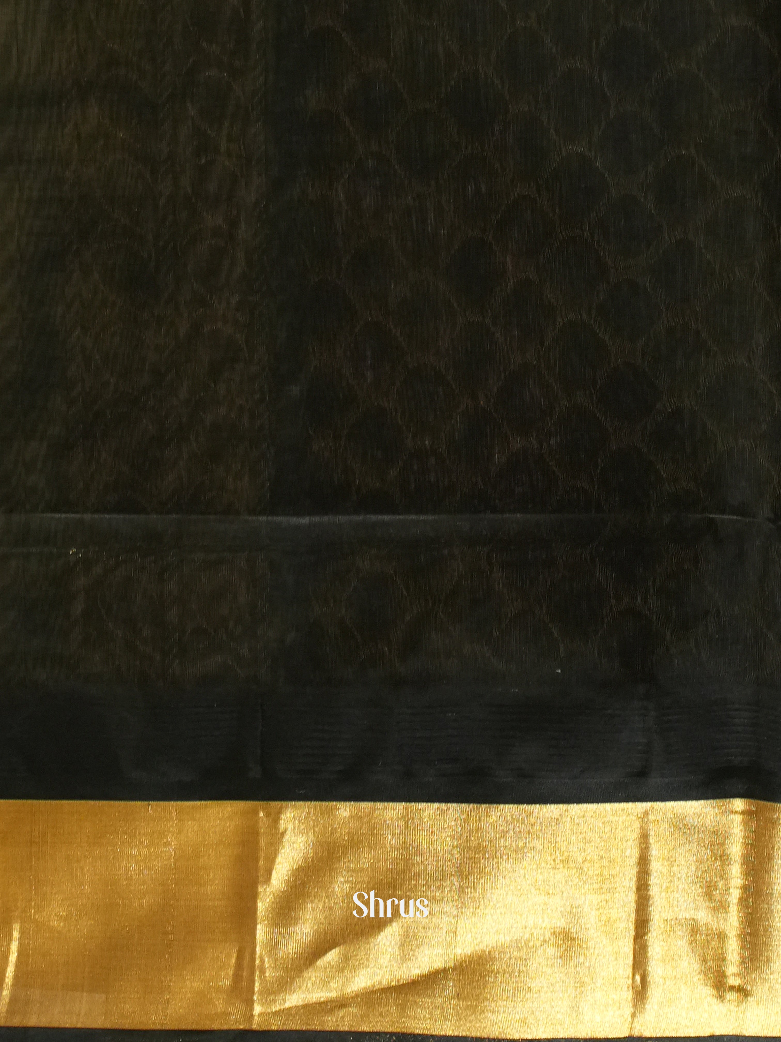 Cream & Black - Silk Cotton Saree