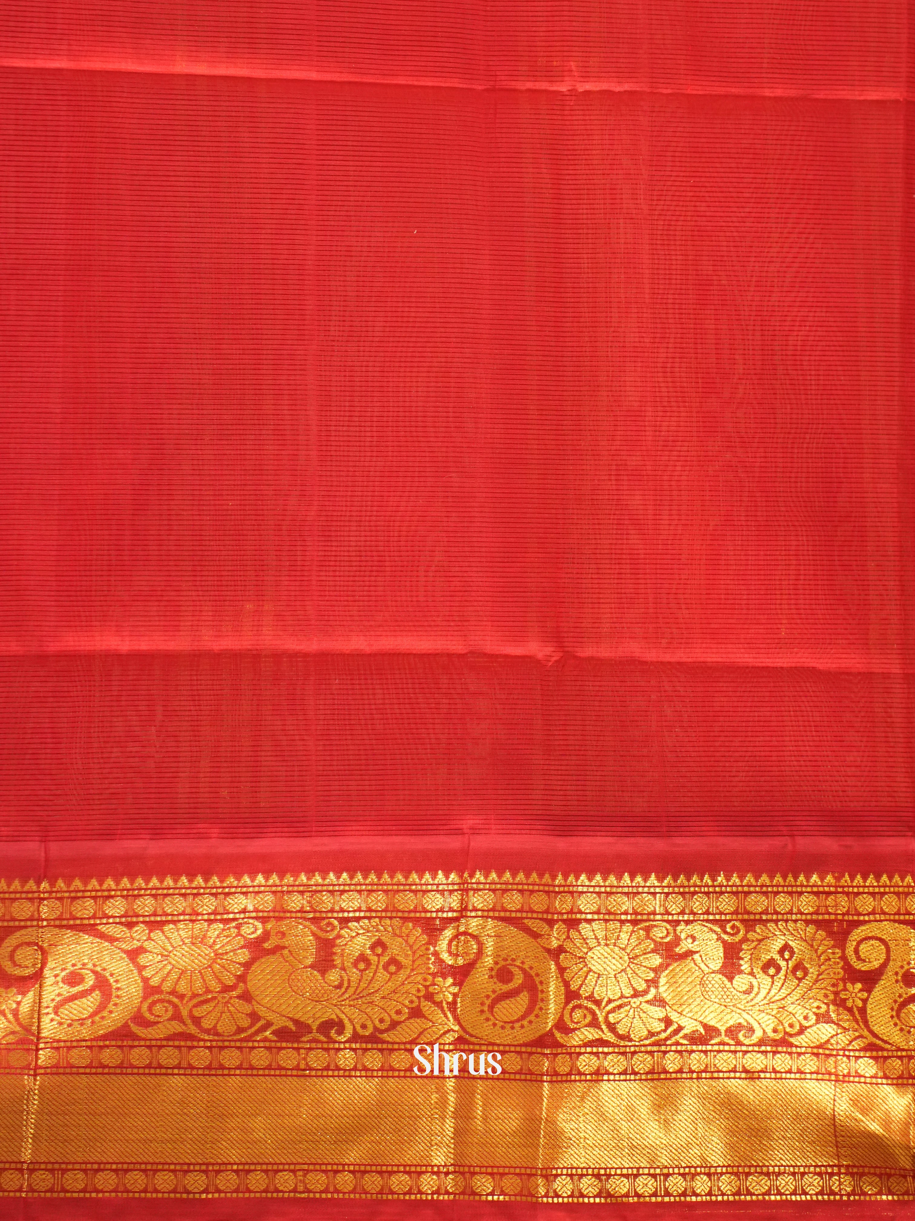 Cream &  Red - Silk Cotton Saree
