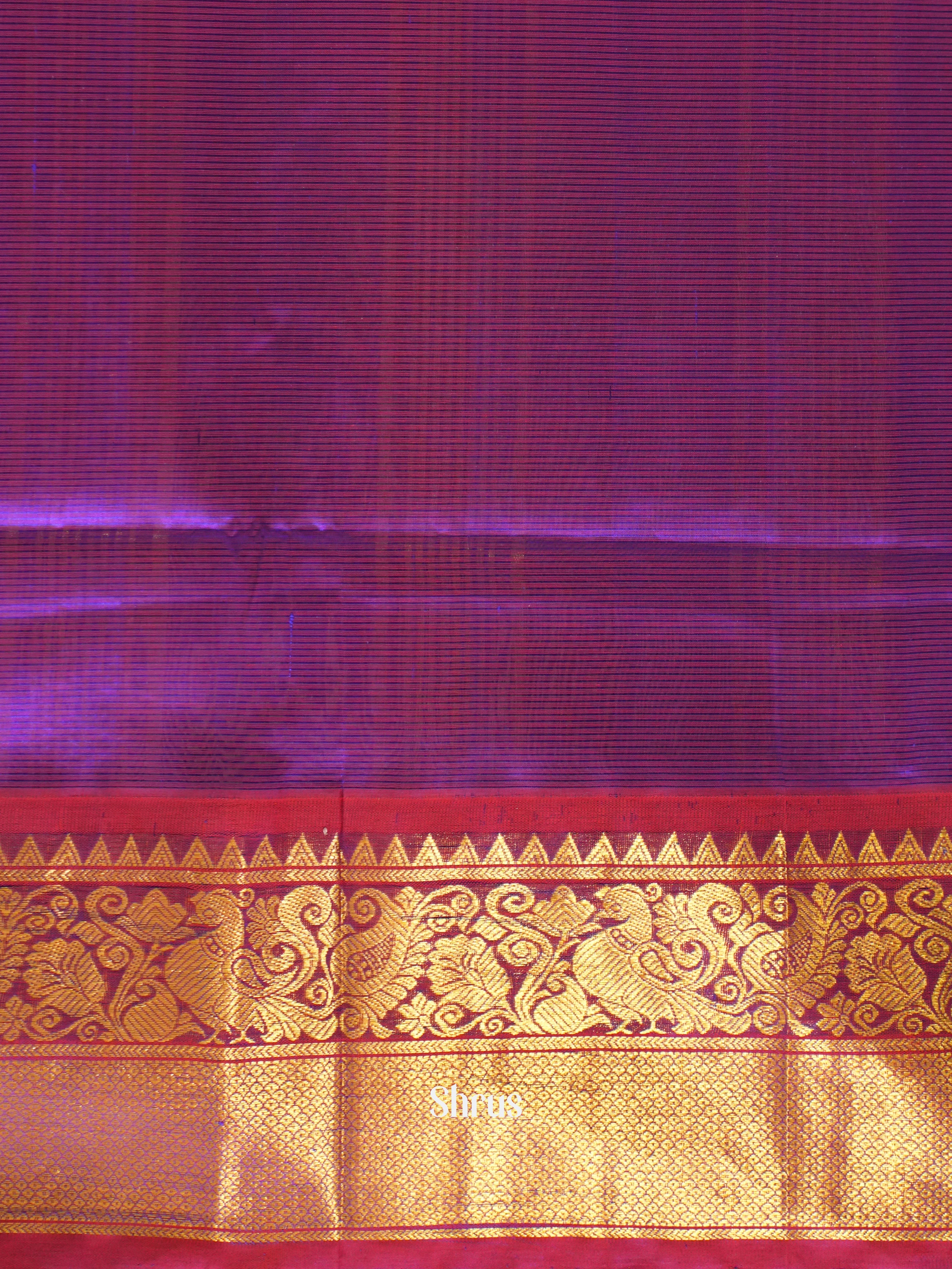 Cream & Purple - Silk Cotton Saree