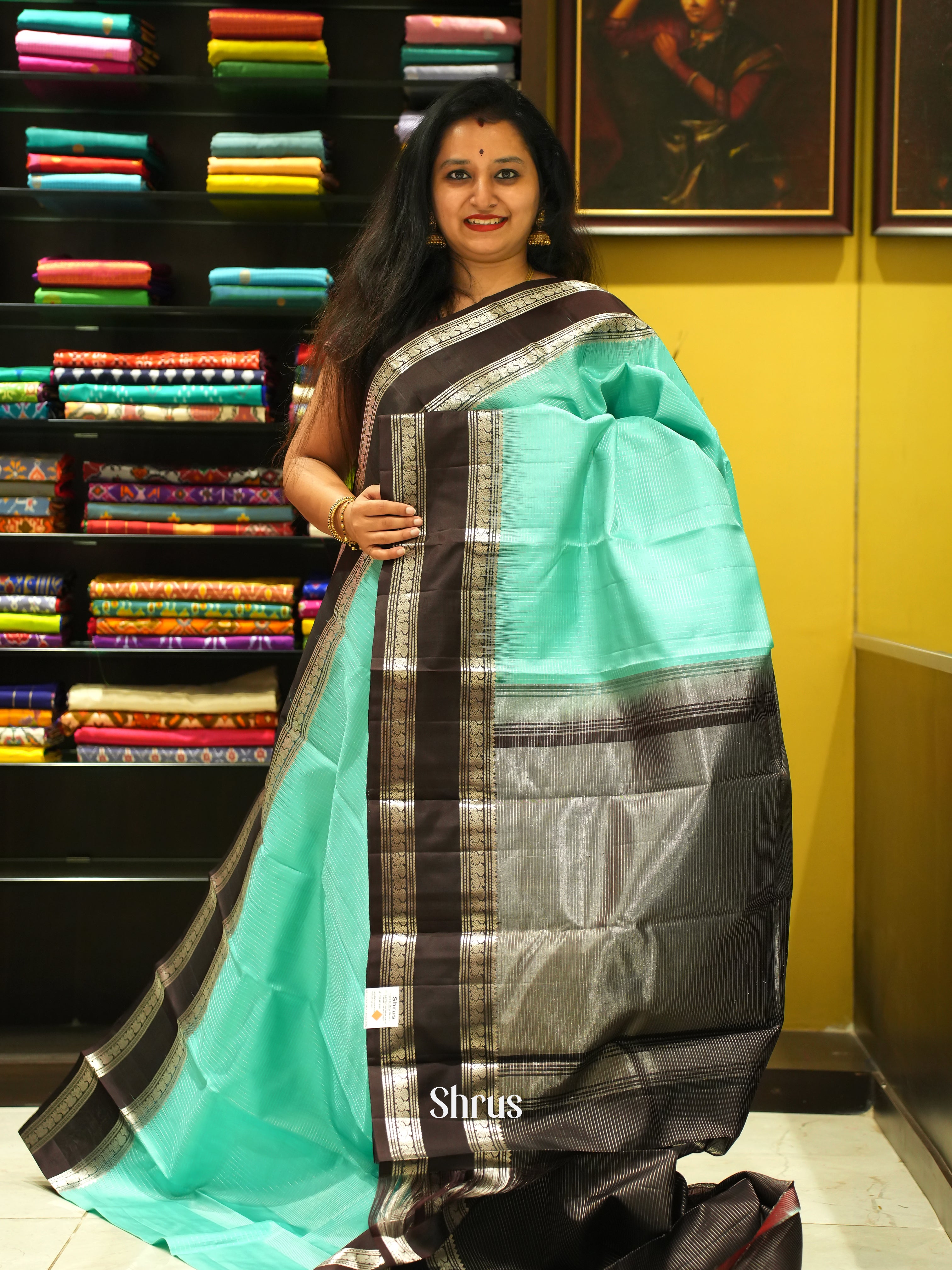 Teal Green & Brown - Soft Silk Saree