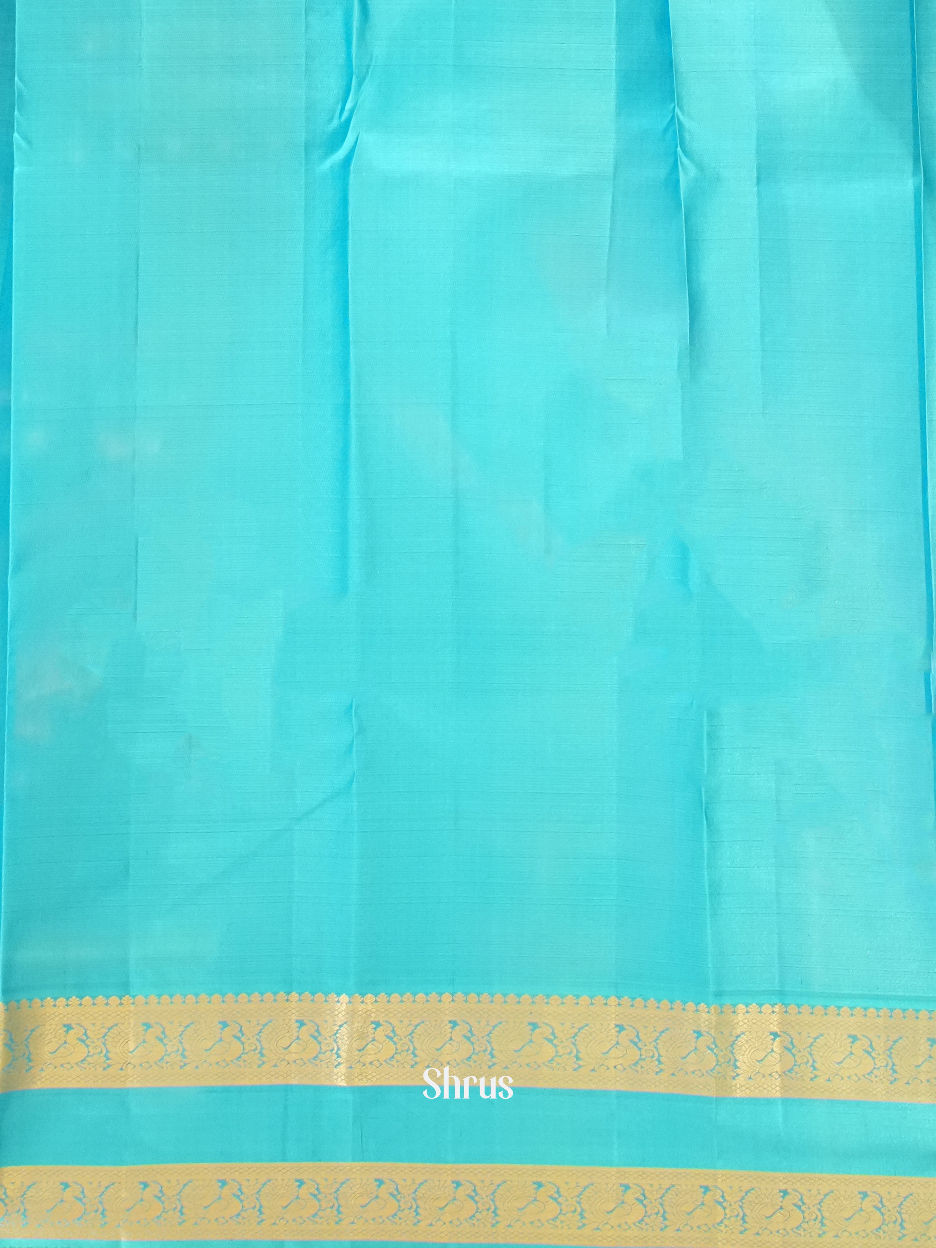 Orange & Blue - Kanchipuram Silk Saree - Shop on ShrusEternity.com