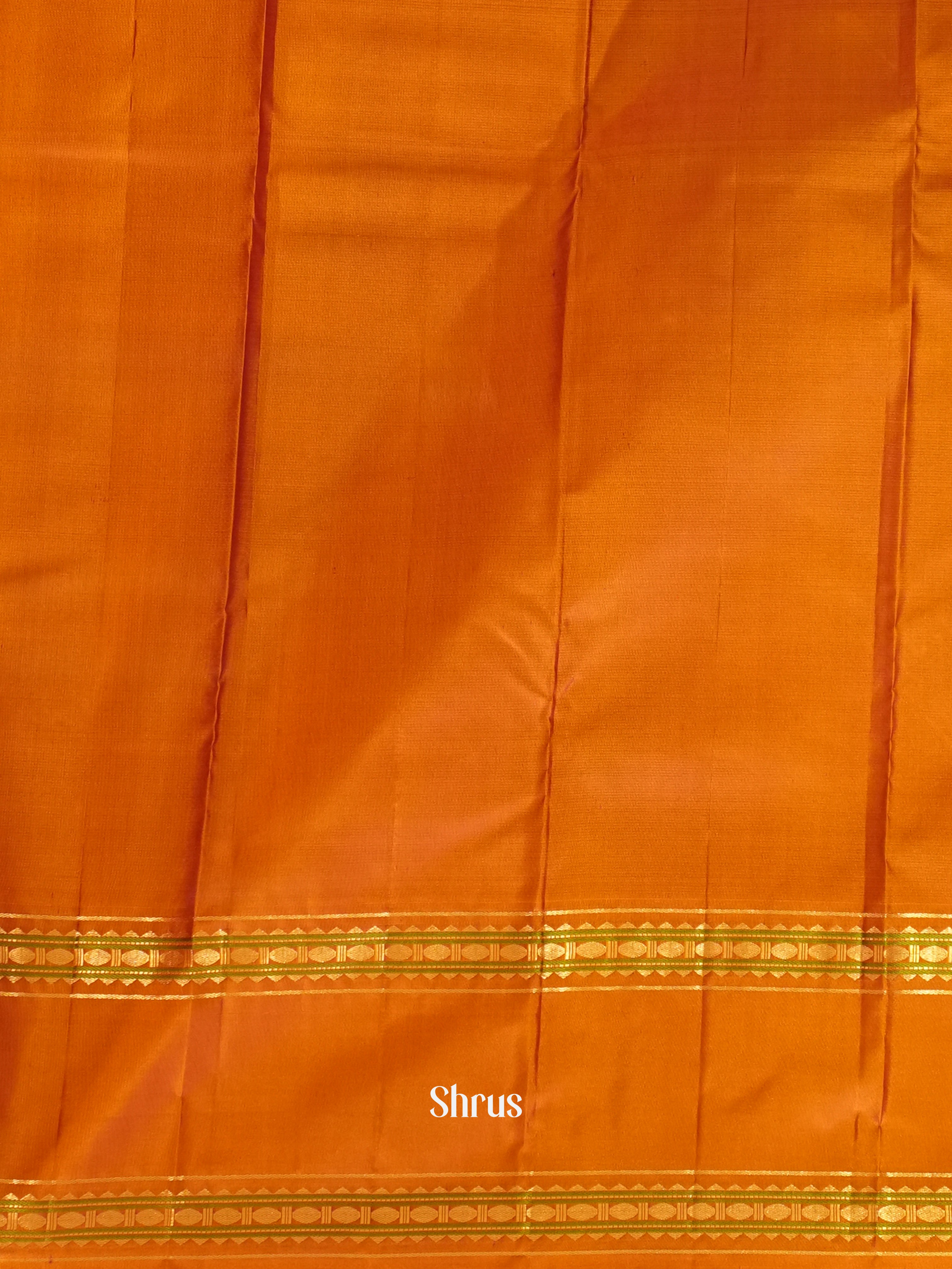 CES31418 - Kanchipuram silk Saree