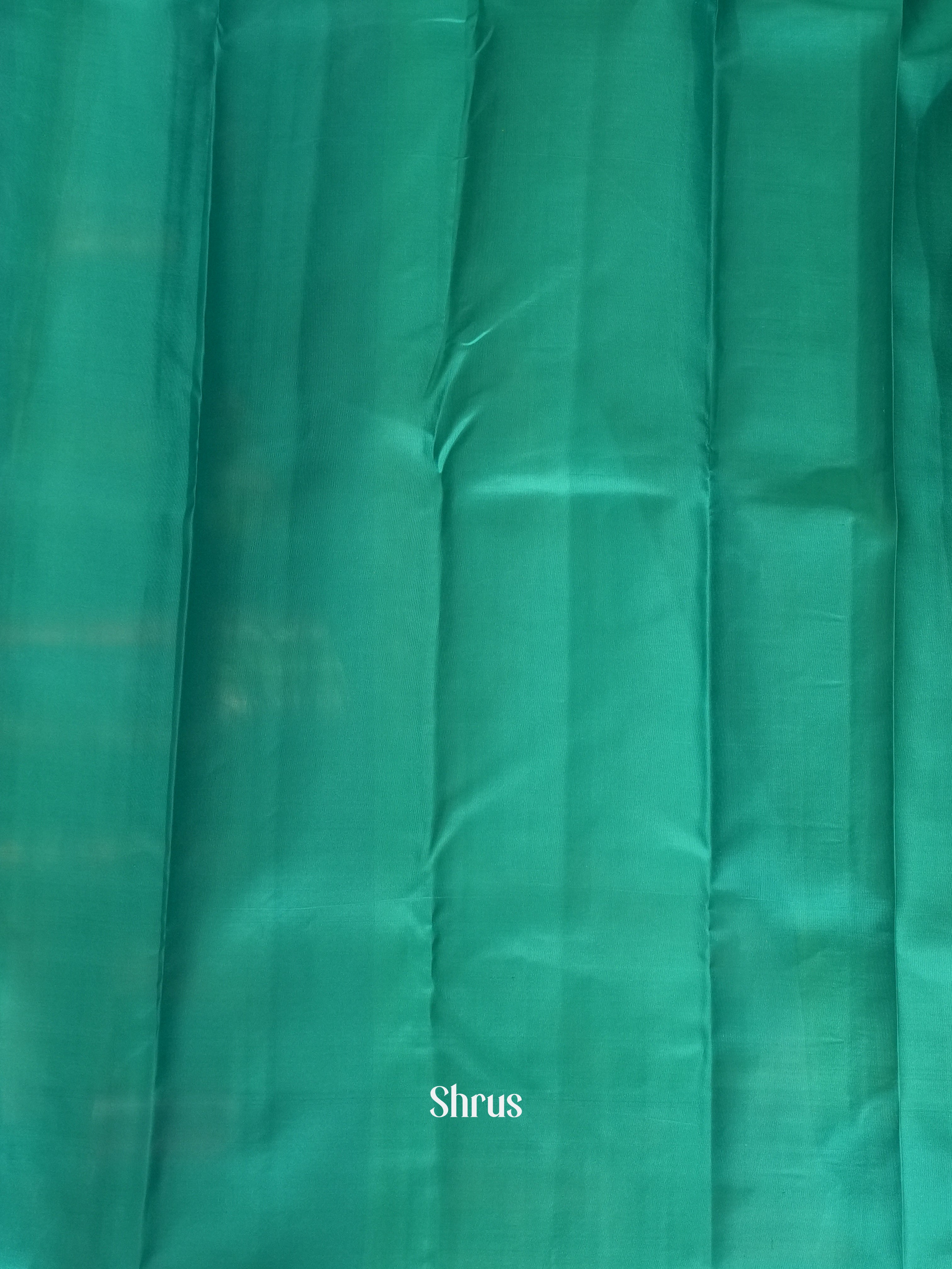 Light Green & Green - Kanchipuram silk Saree