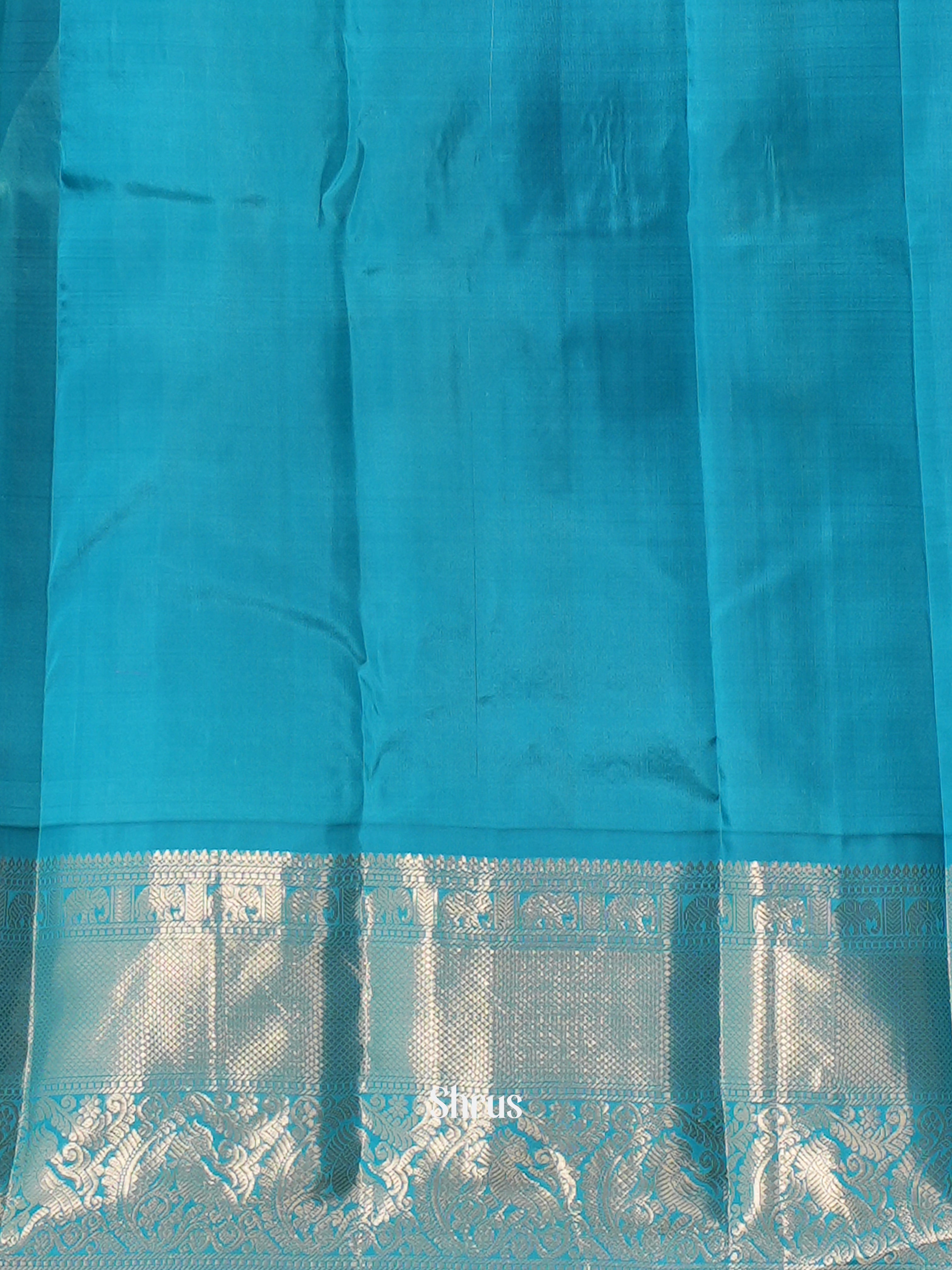 Violet & Blue - Kanchipuram silk Saree