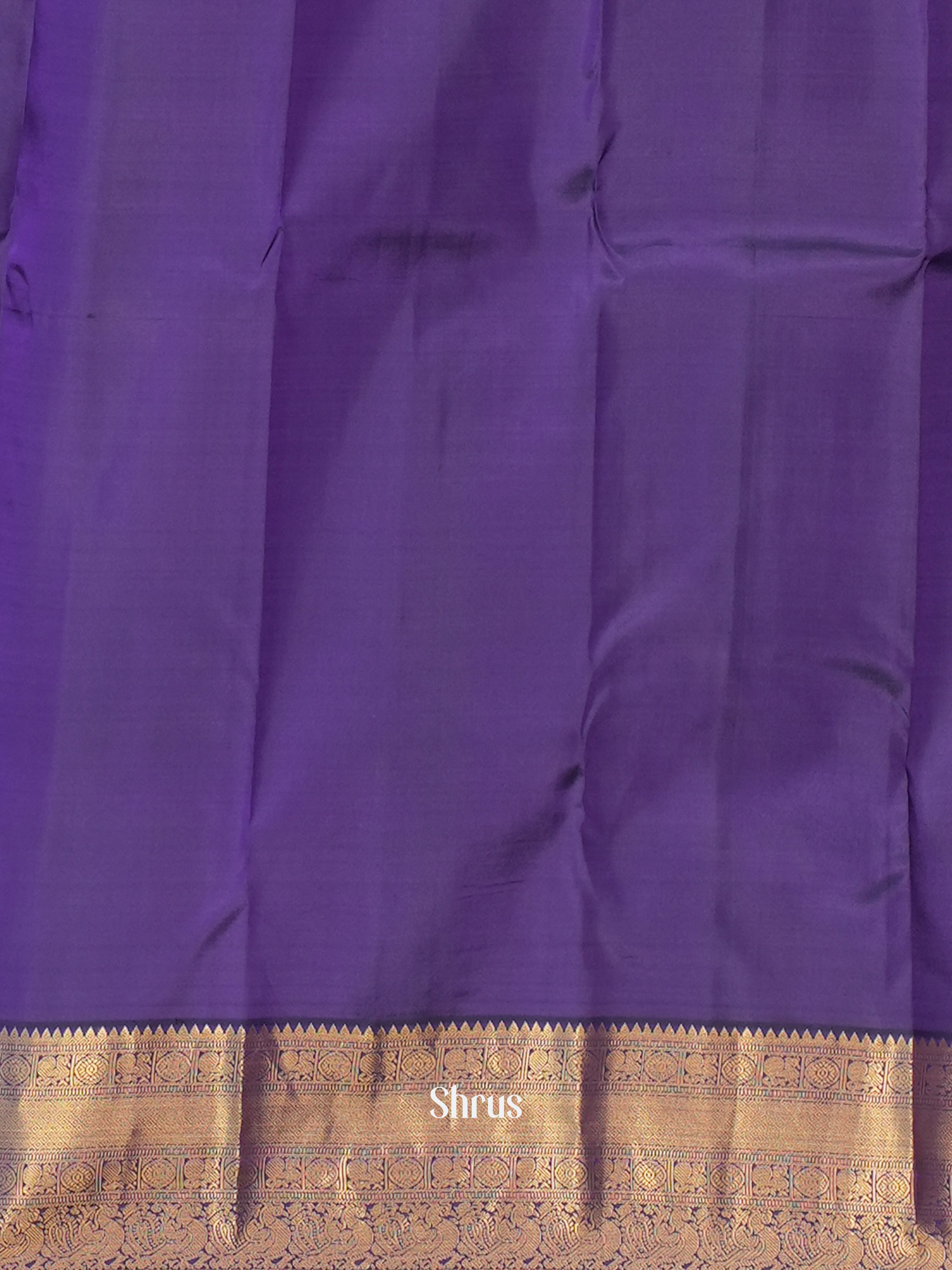 CES31556 - Kanchipuram silk Saree