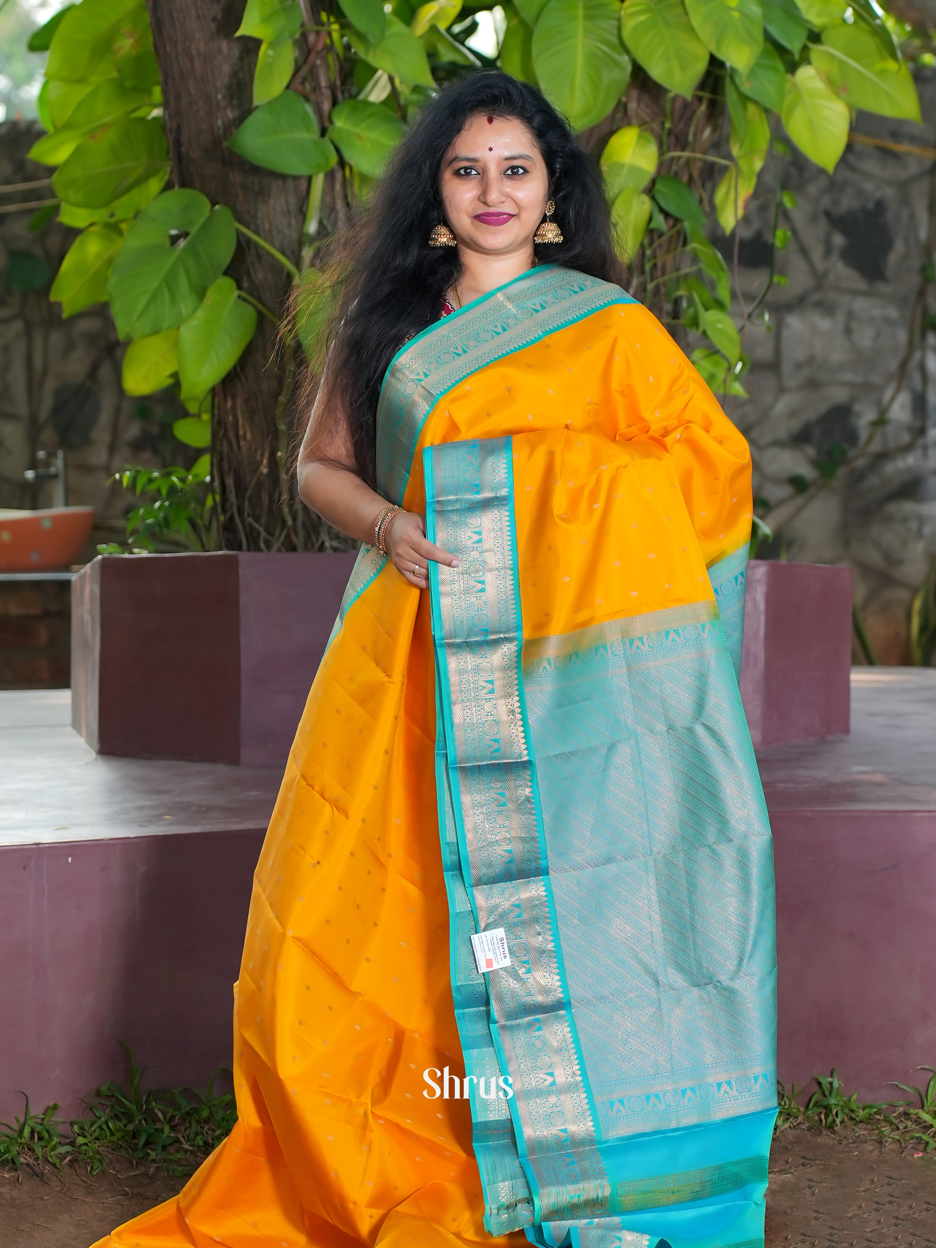 CES31560 - Kanchipuram silk Saree