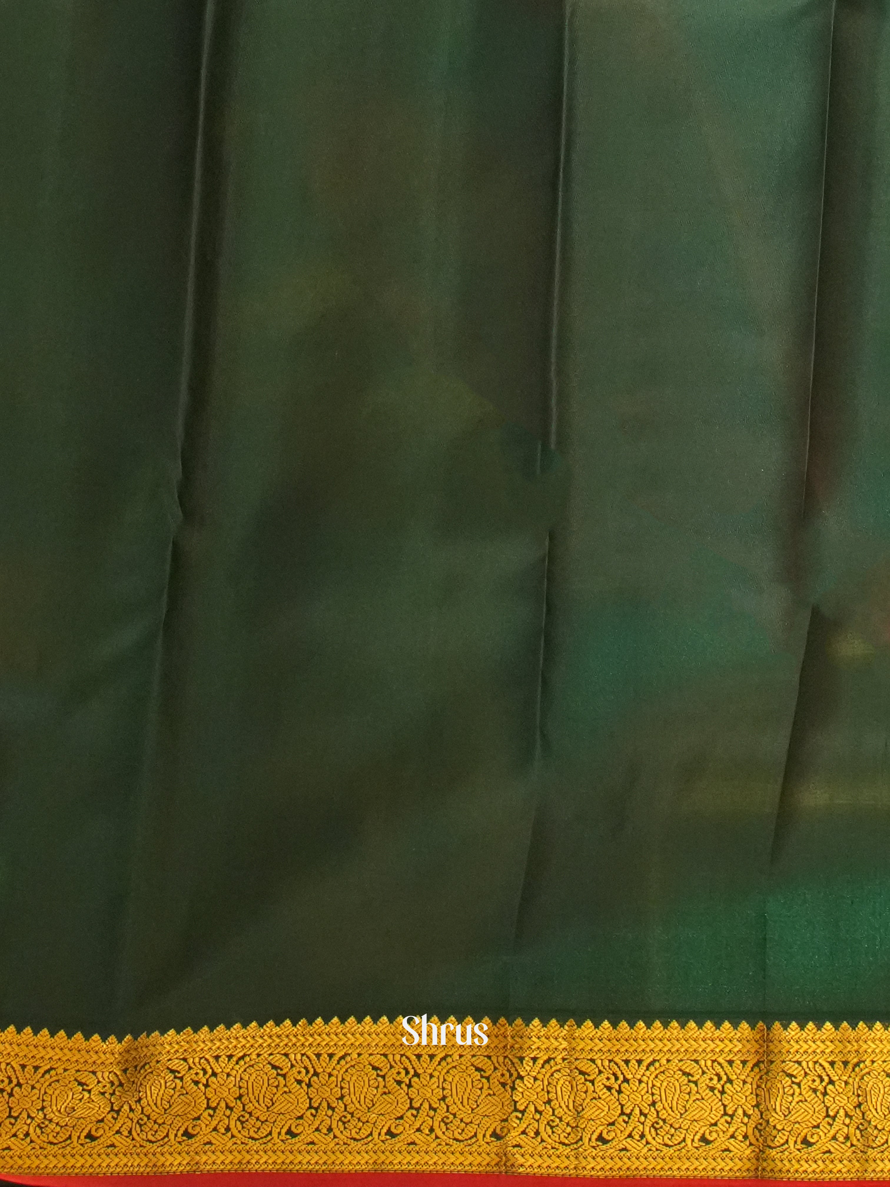 Orange & Green - Kanchipuram Silk Saree - Shop on ShrusEternity.com