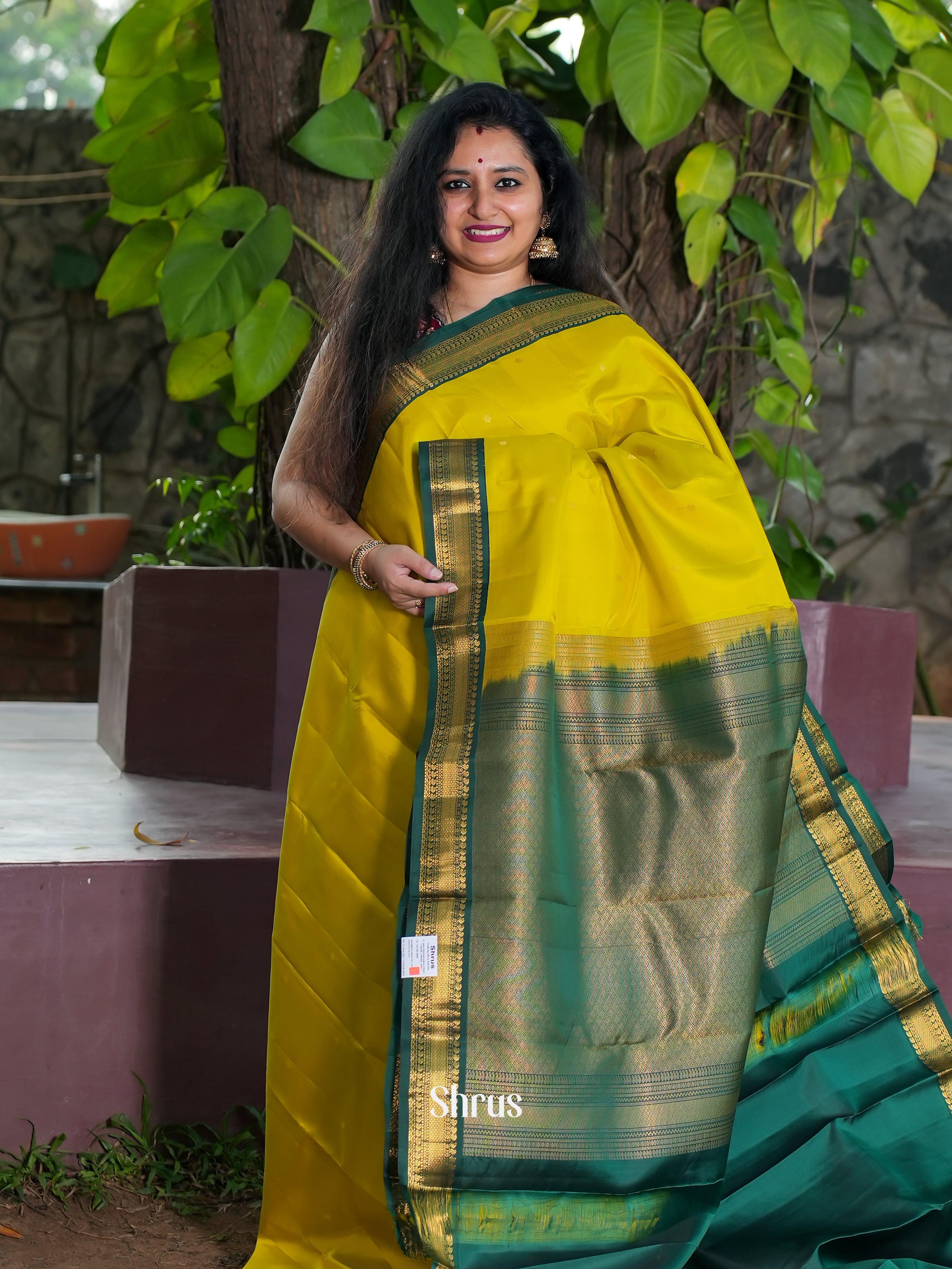 Mustardy Green & Green - Korvai Kanchipuram silk Saree