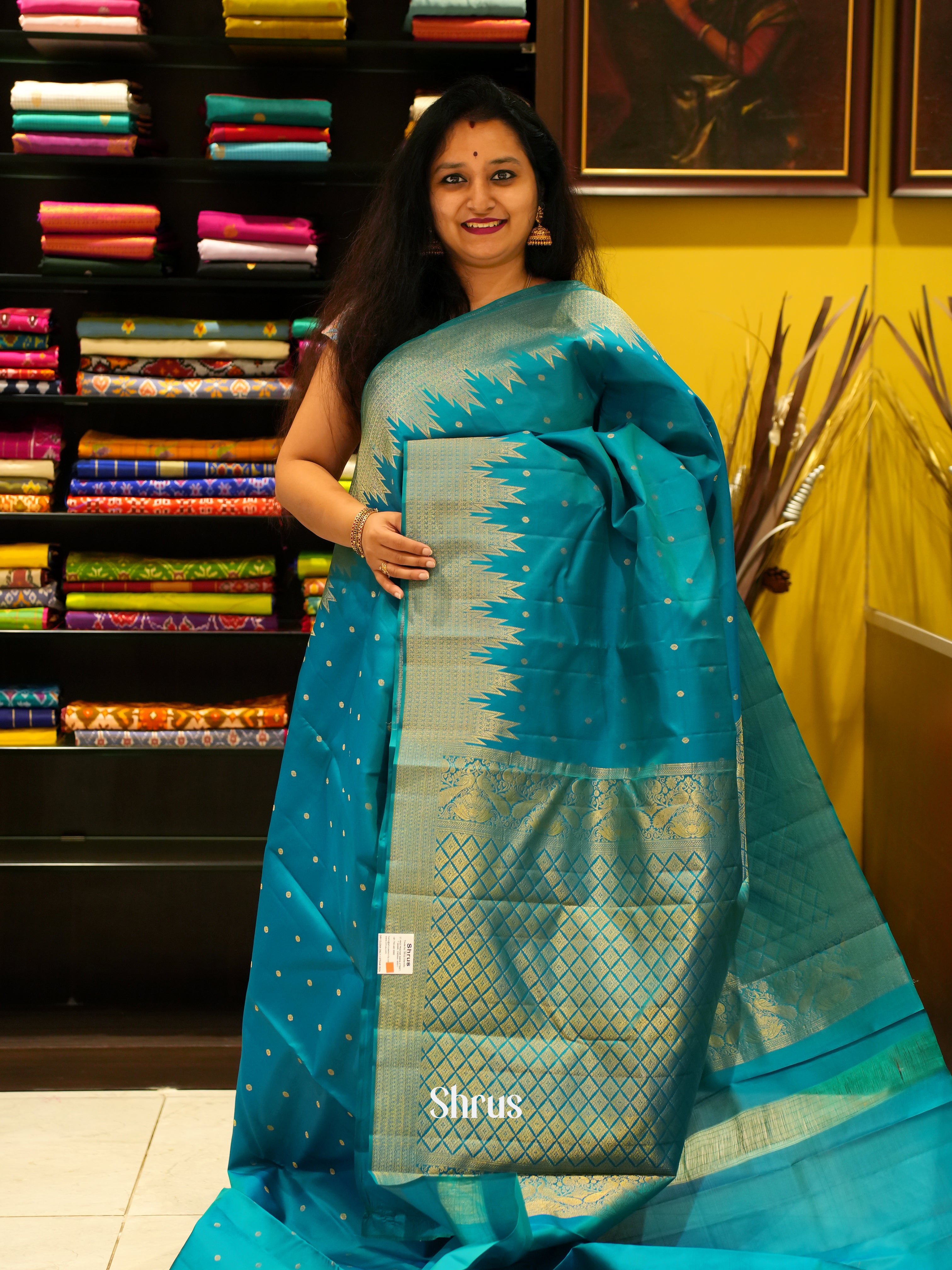 Blue(Single Tone) - Kanchipuram silk Saree