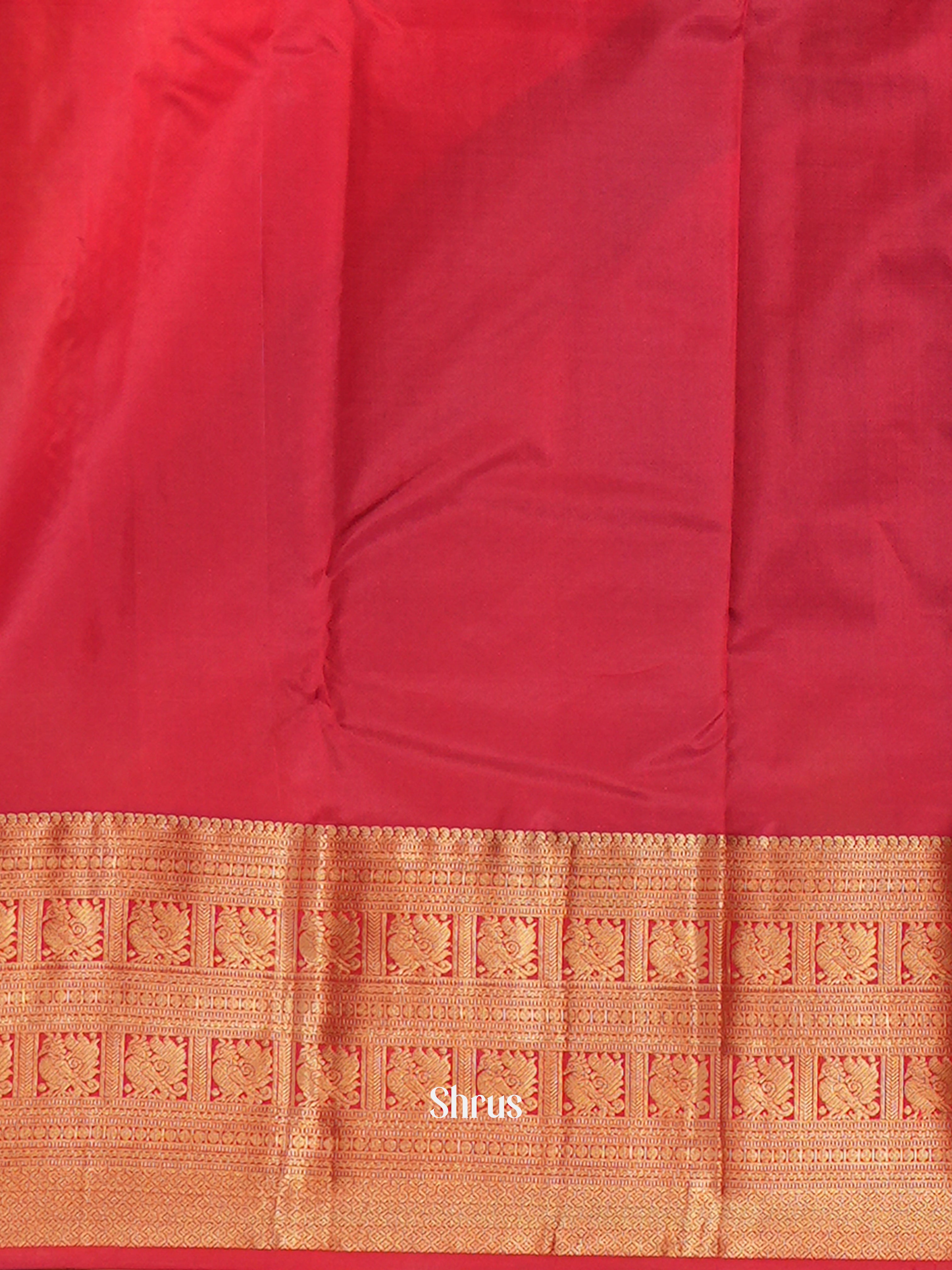 Violet & Red  - Korvai Kanchipuram silk