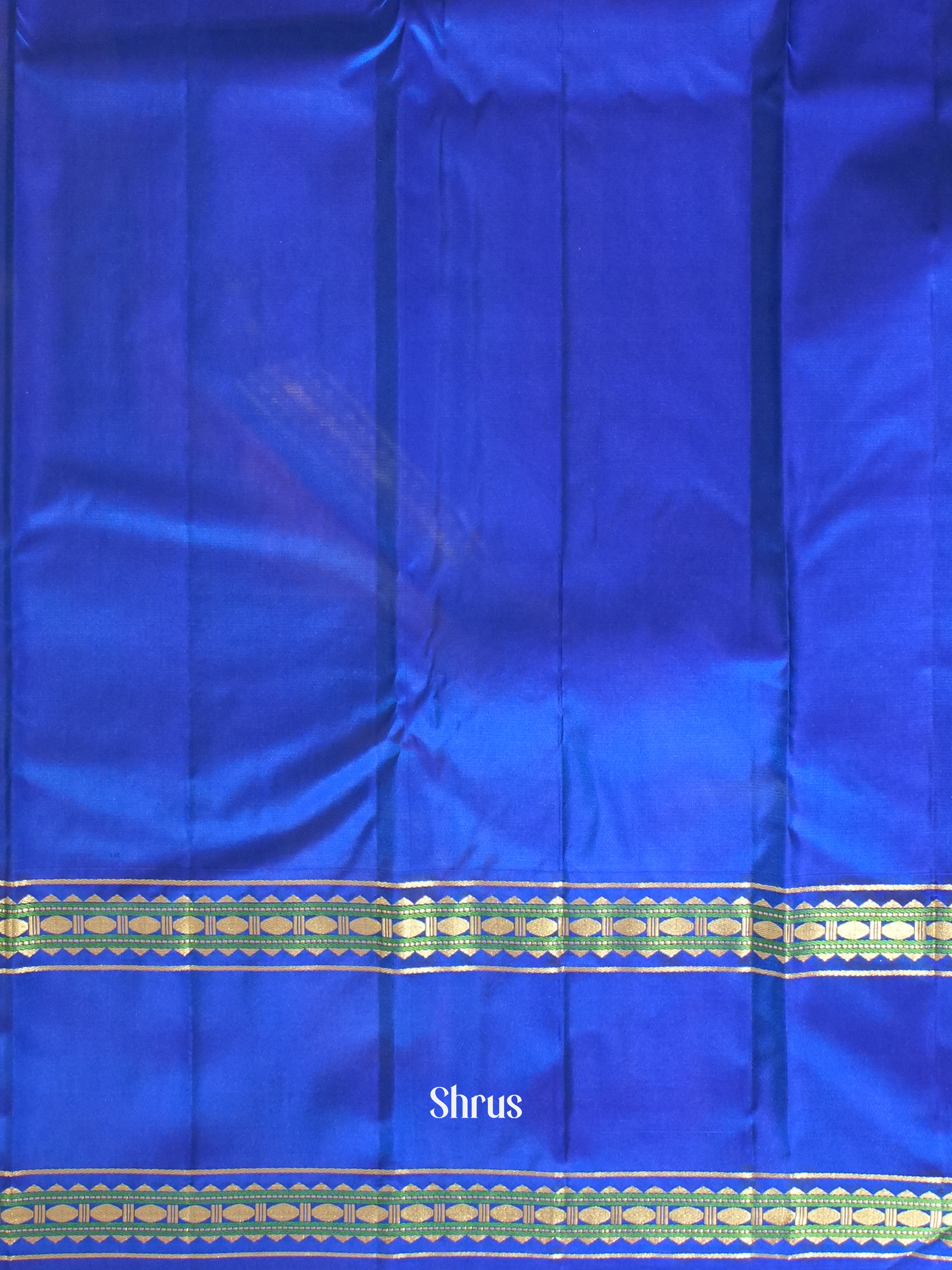 Sky Blue & Blue -Kanchipuram silk Saree