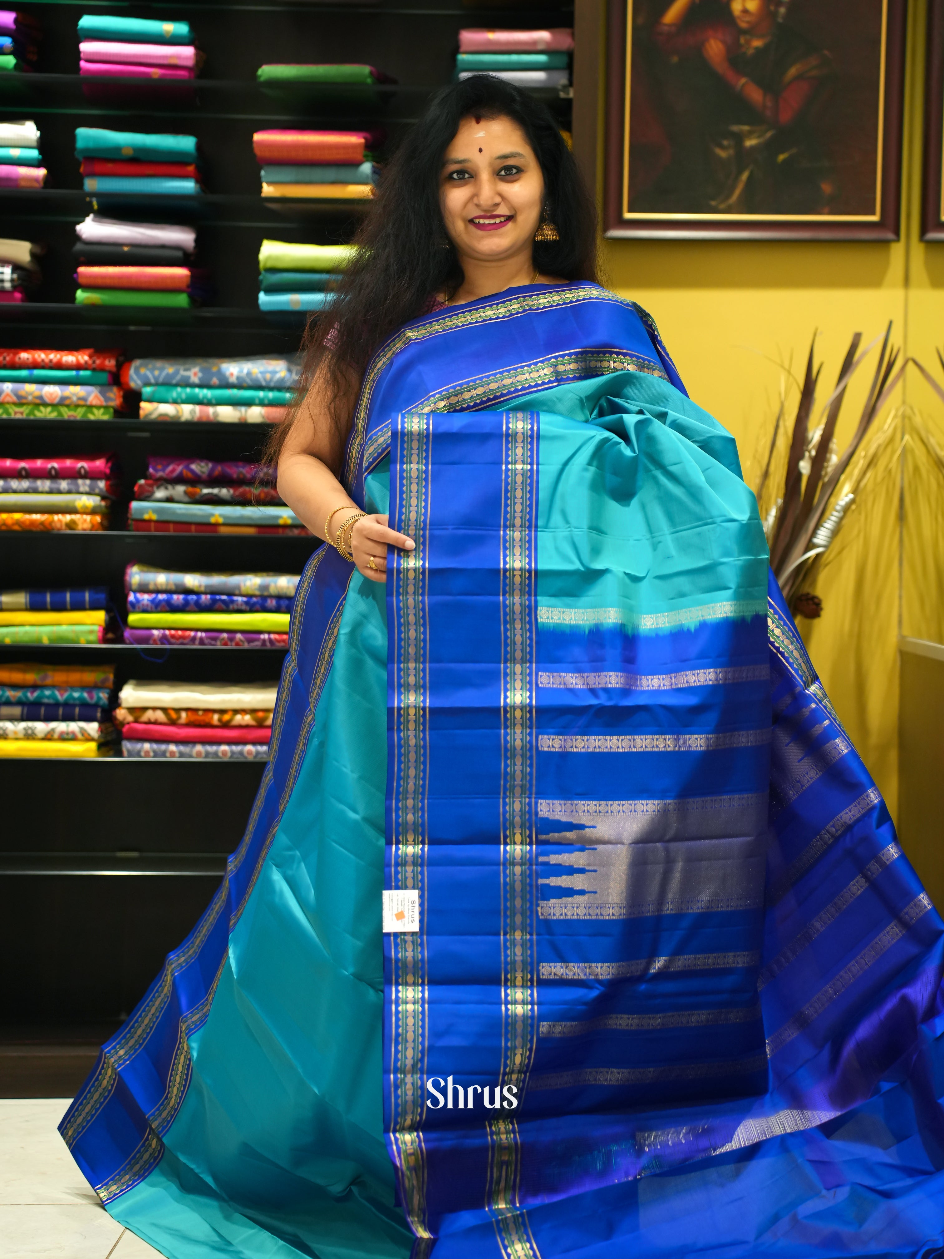 Sky Blue & Blue -Kanchipuram silk Saree