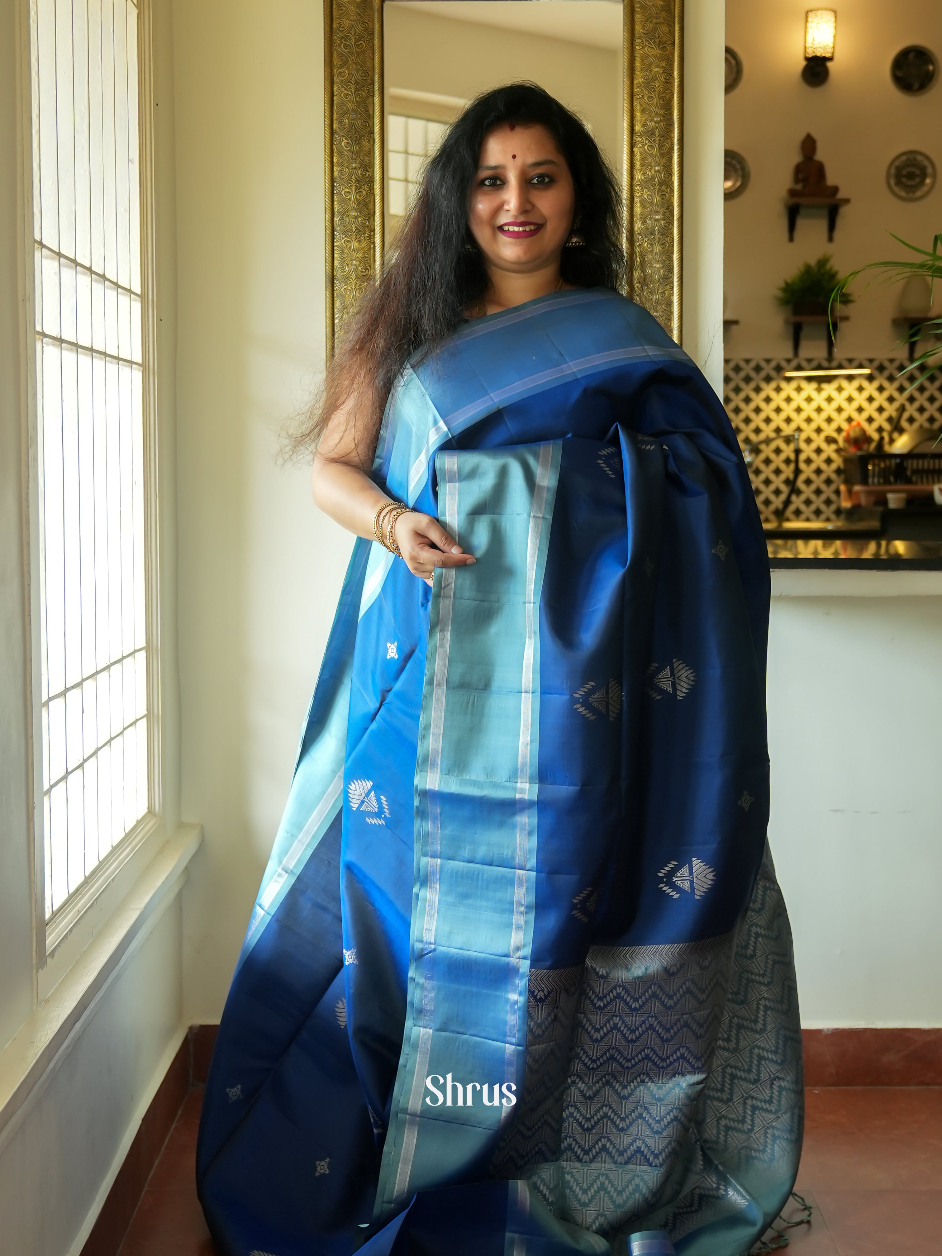 Blue & Light Blue - Soft Silk Saree