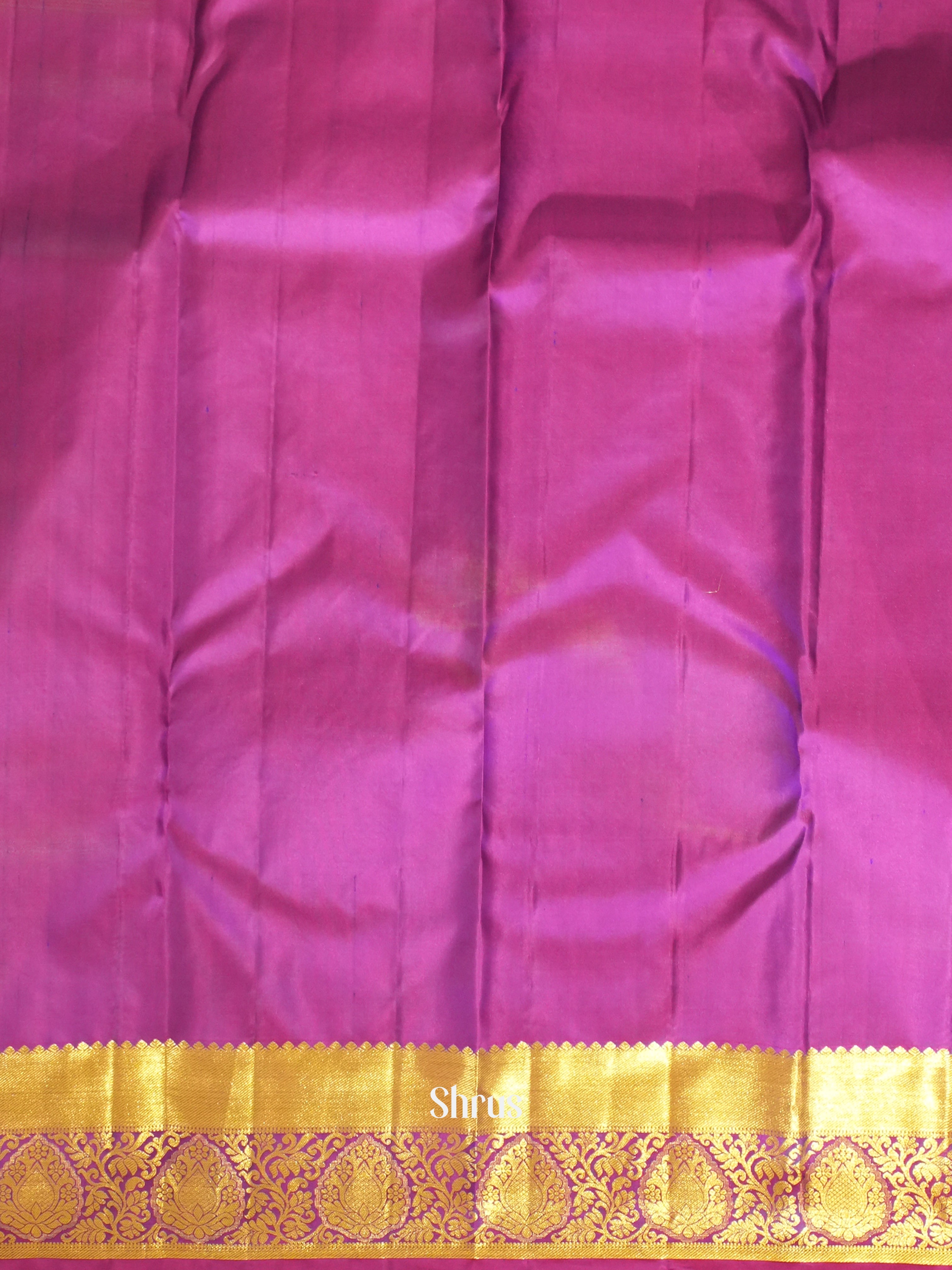 CES31724 - Kanchipuram silk Saree