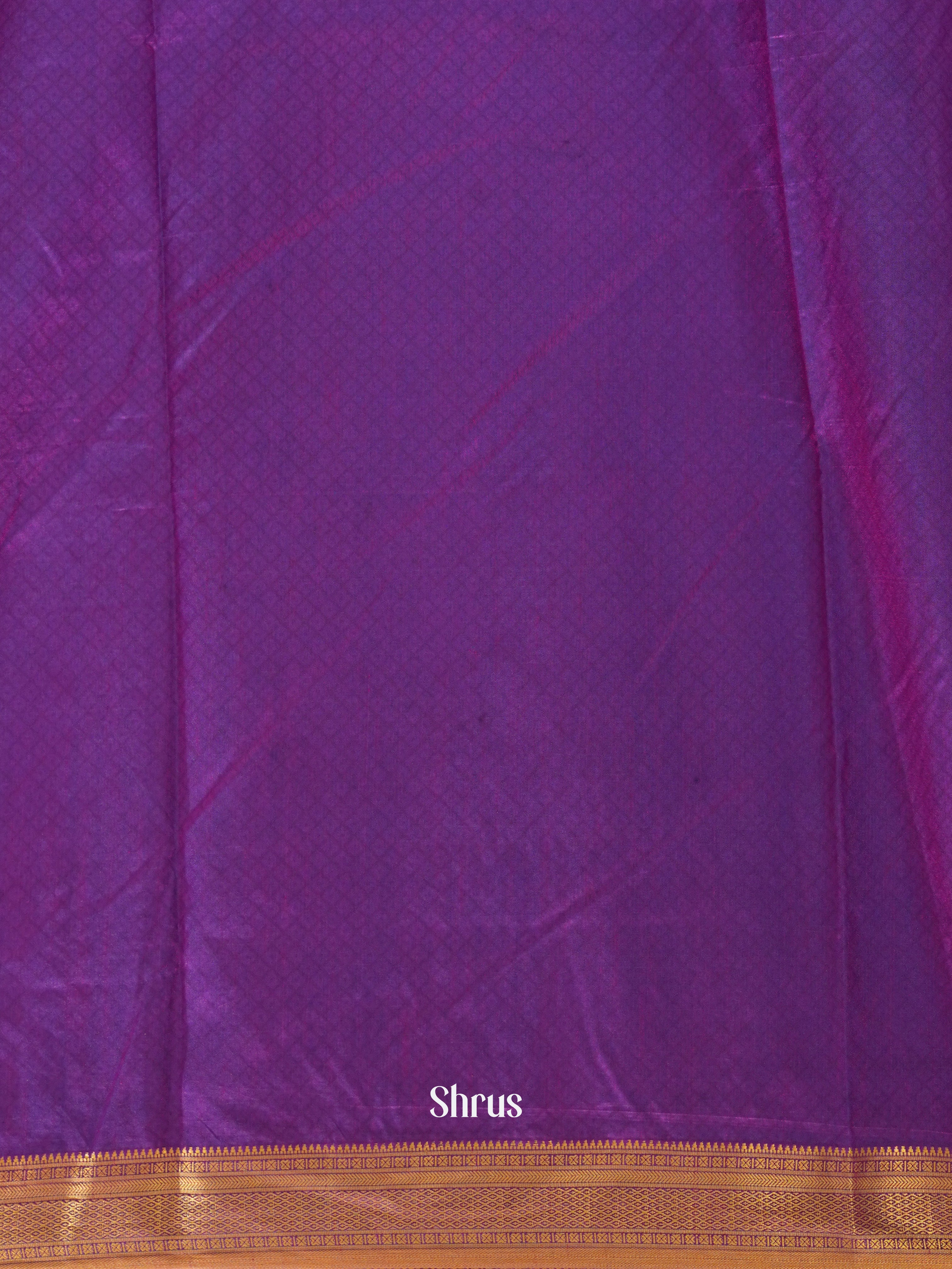 Blue & Purple  - Semi Patola Saree