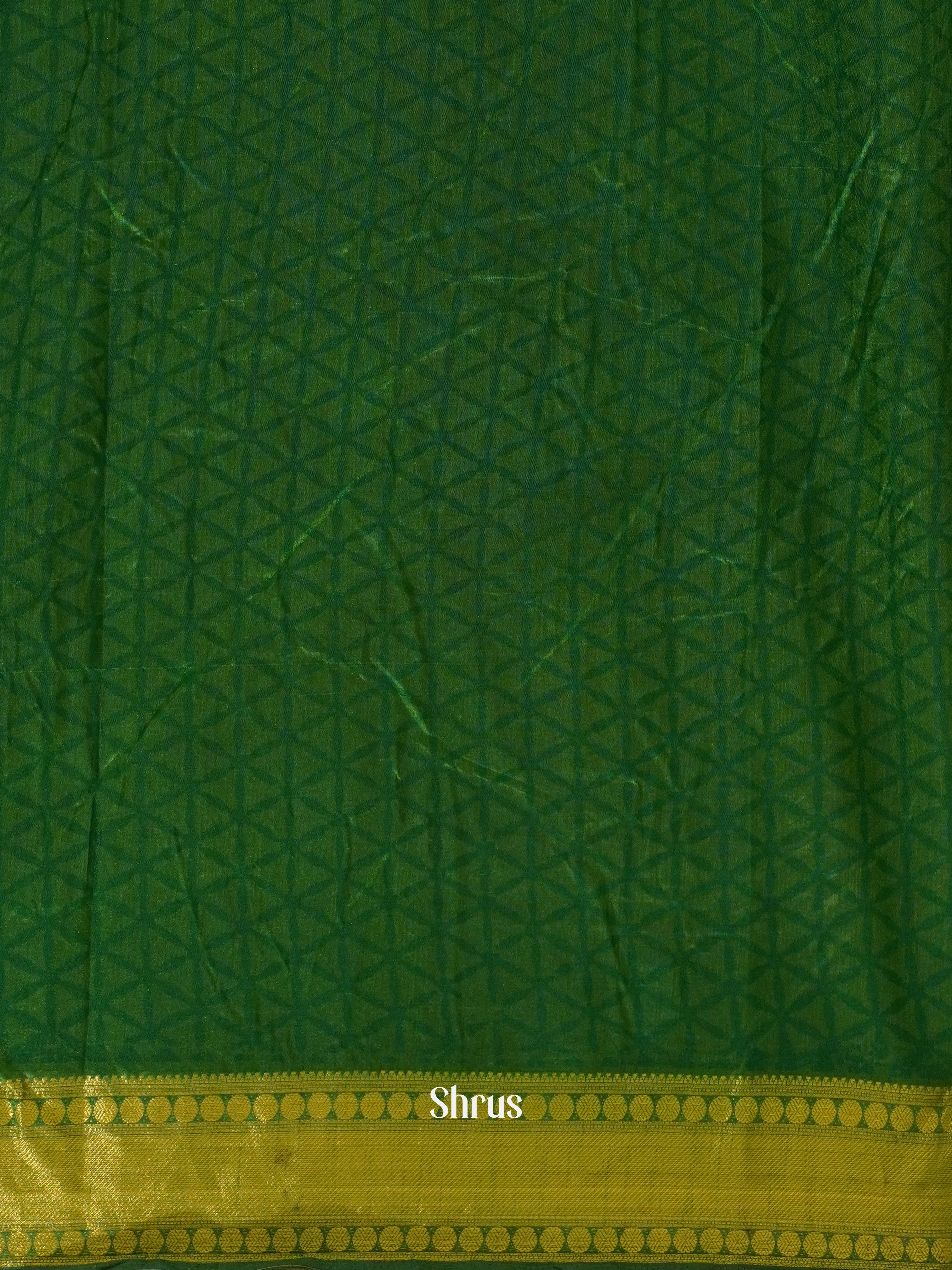 Brick & Green - Semi Patola Saree