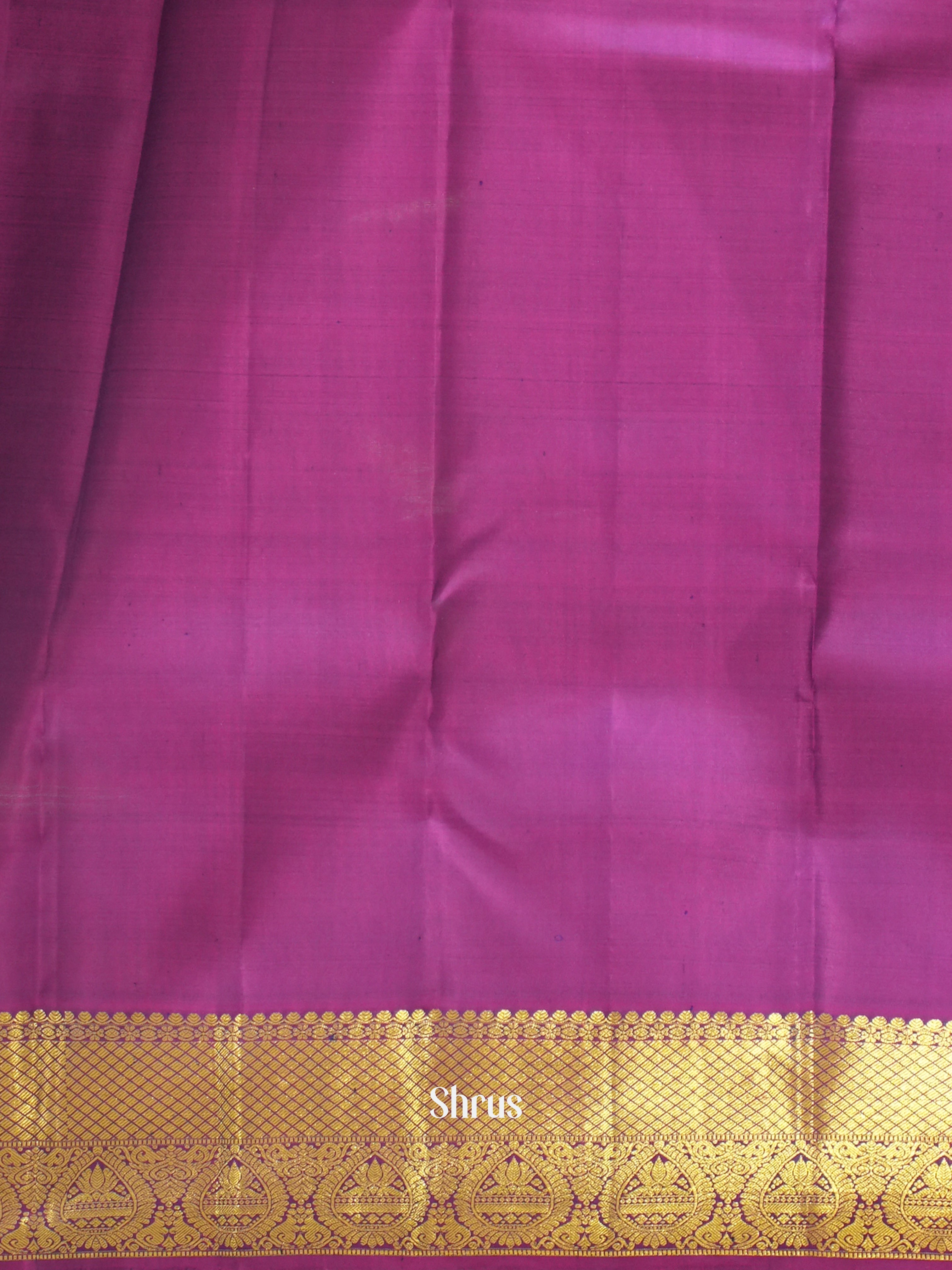 Blue & Purple - Korvai Kanchipuram silk Saree