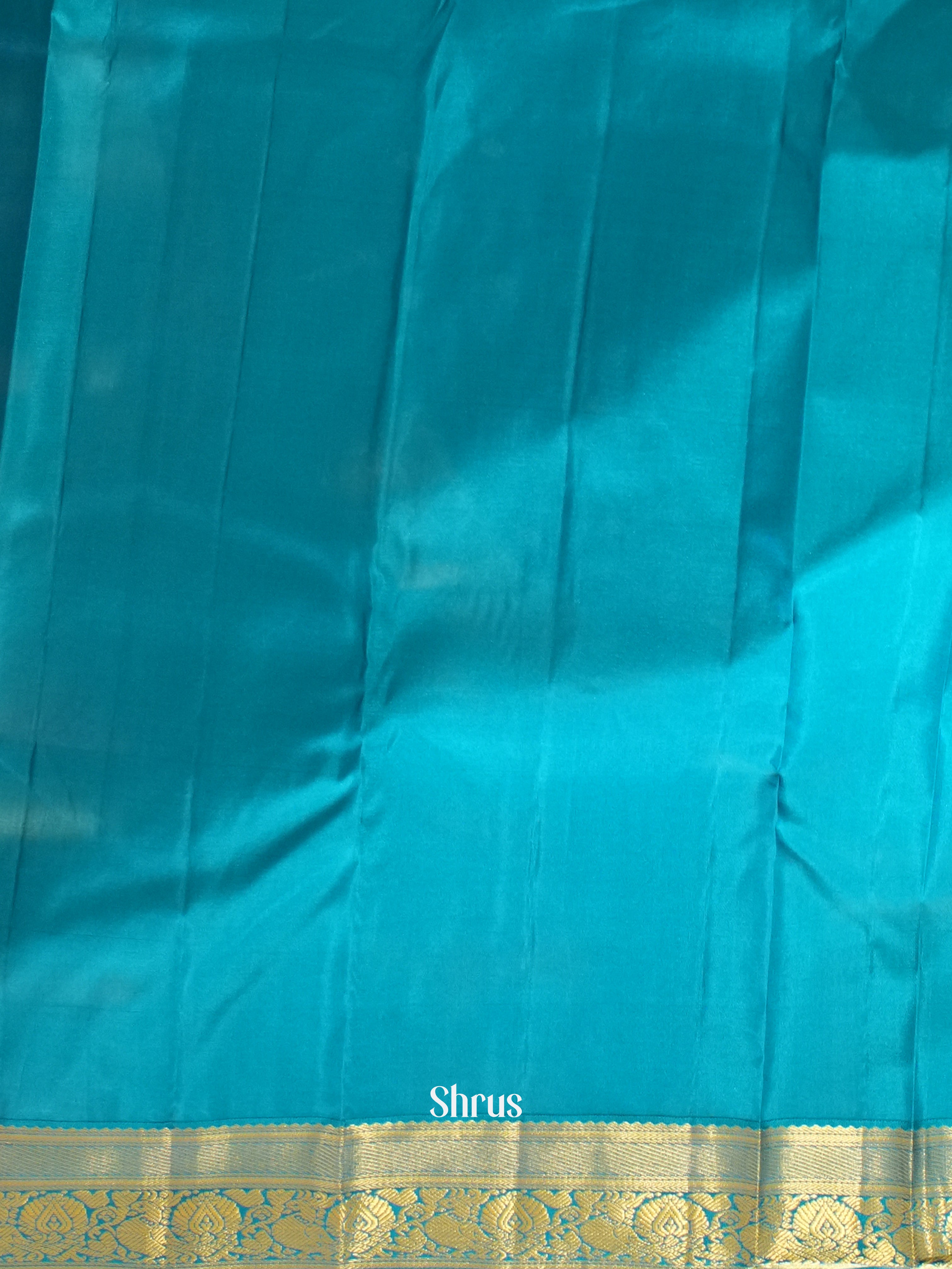 Violet & Blue - Korvai Kanchipuram silk Saree