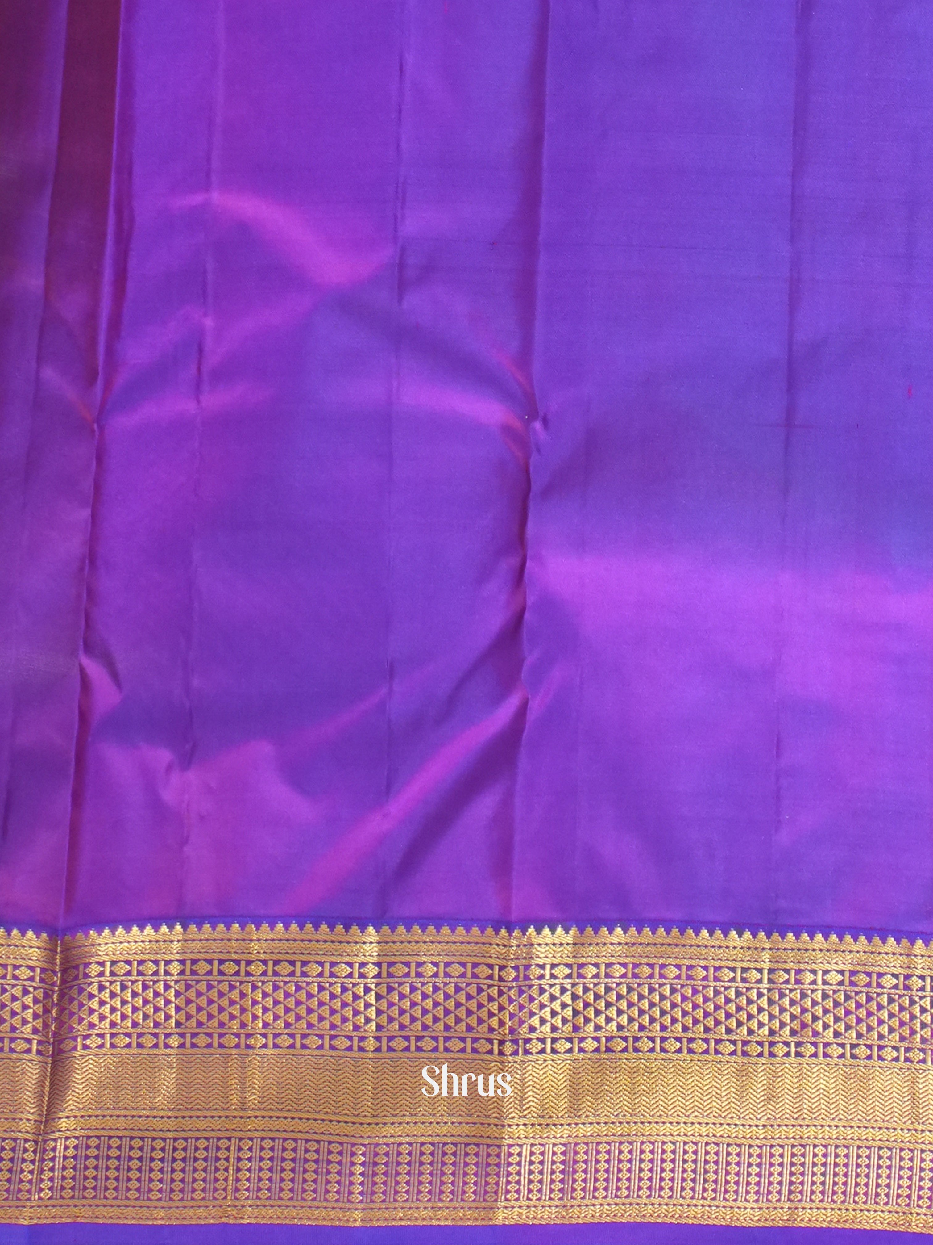 Sky Blue & Purple - Korvai Kanchipuram silk Saree