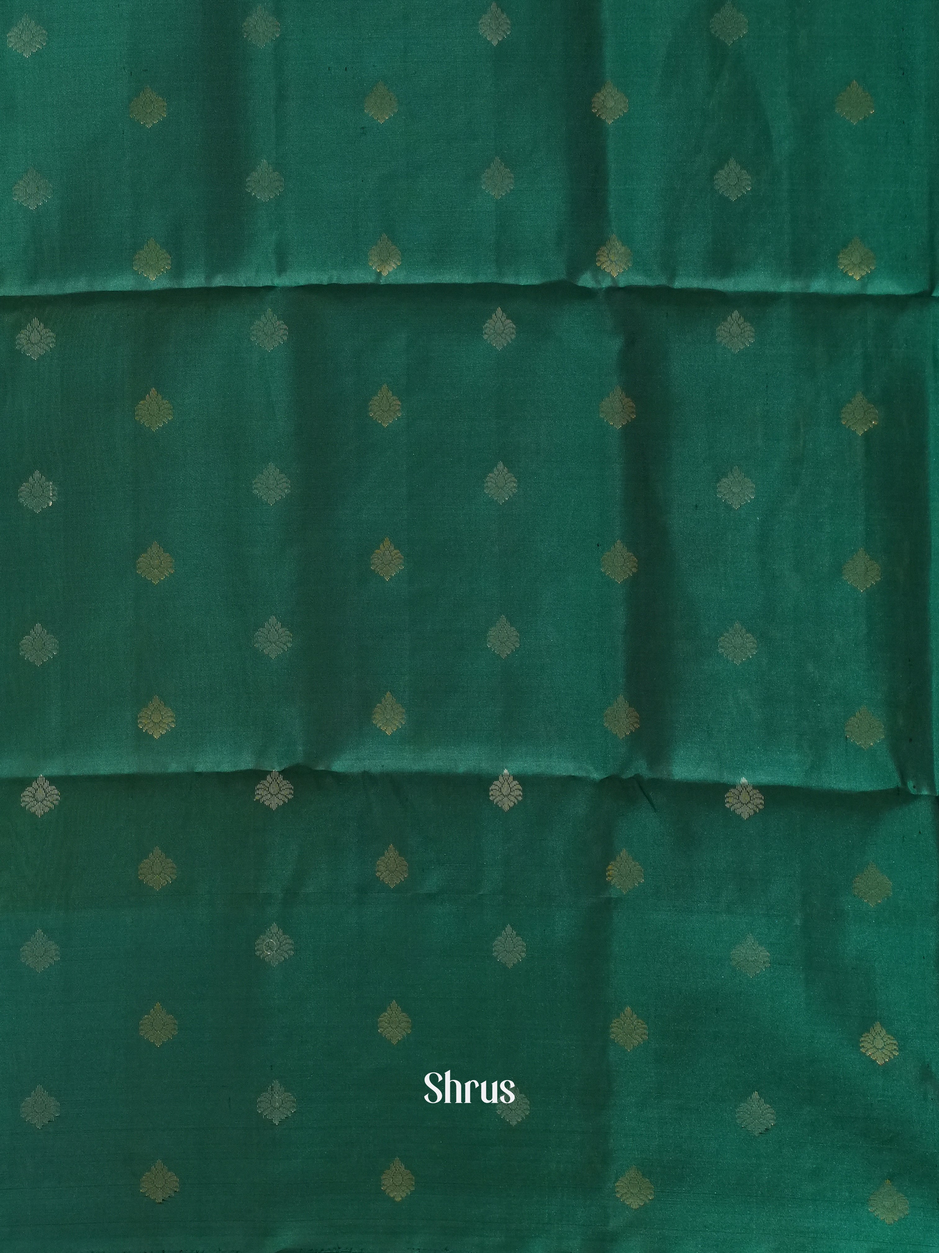 Light Green & Green - Soft Silk Saree