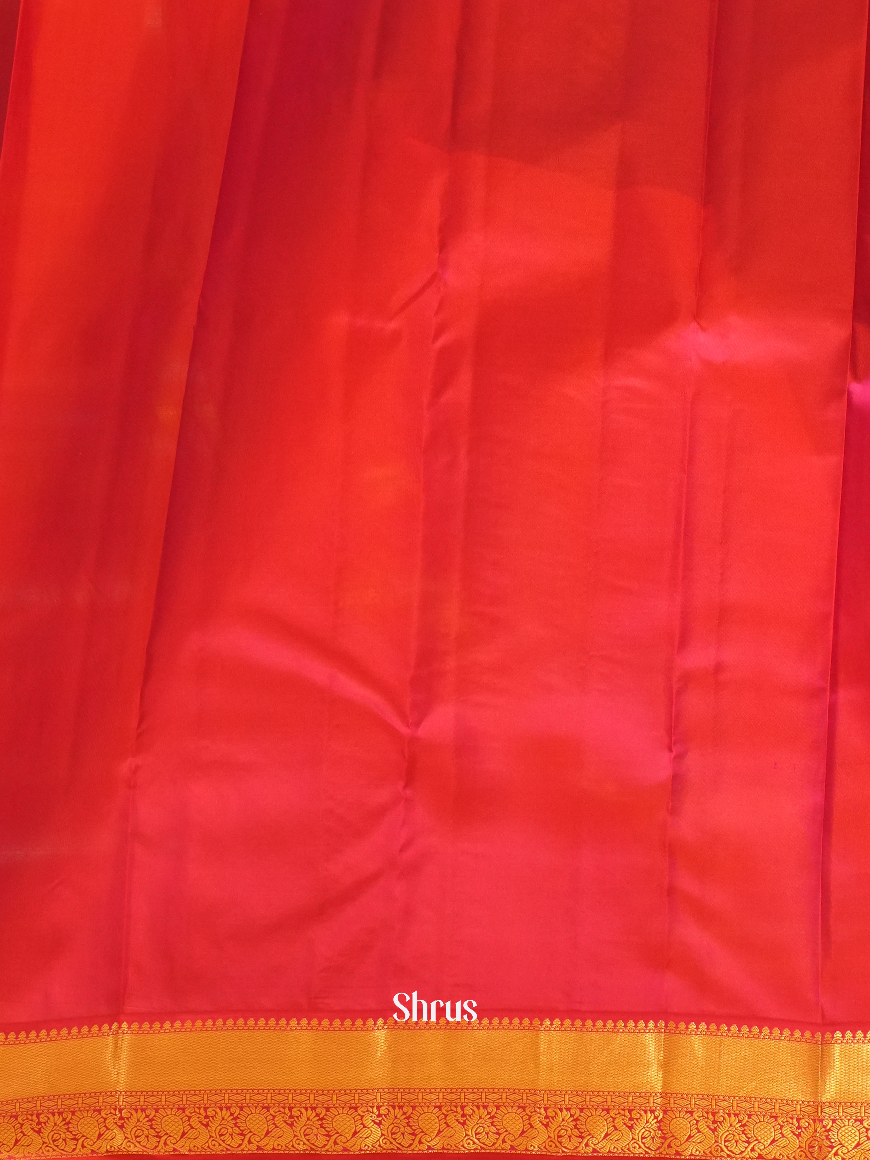 Peacock Blue & Pink - Korvai Kanchipuram silk Saree