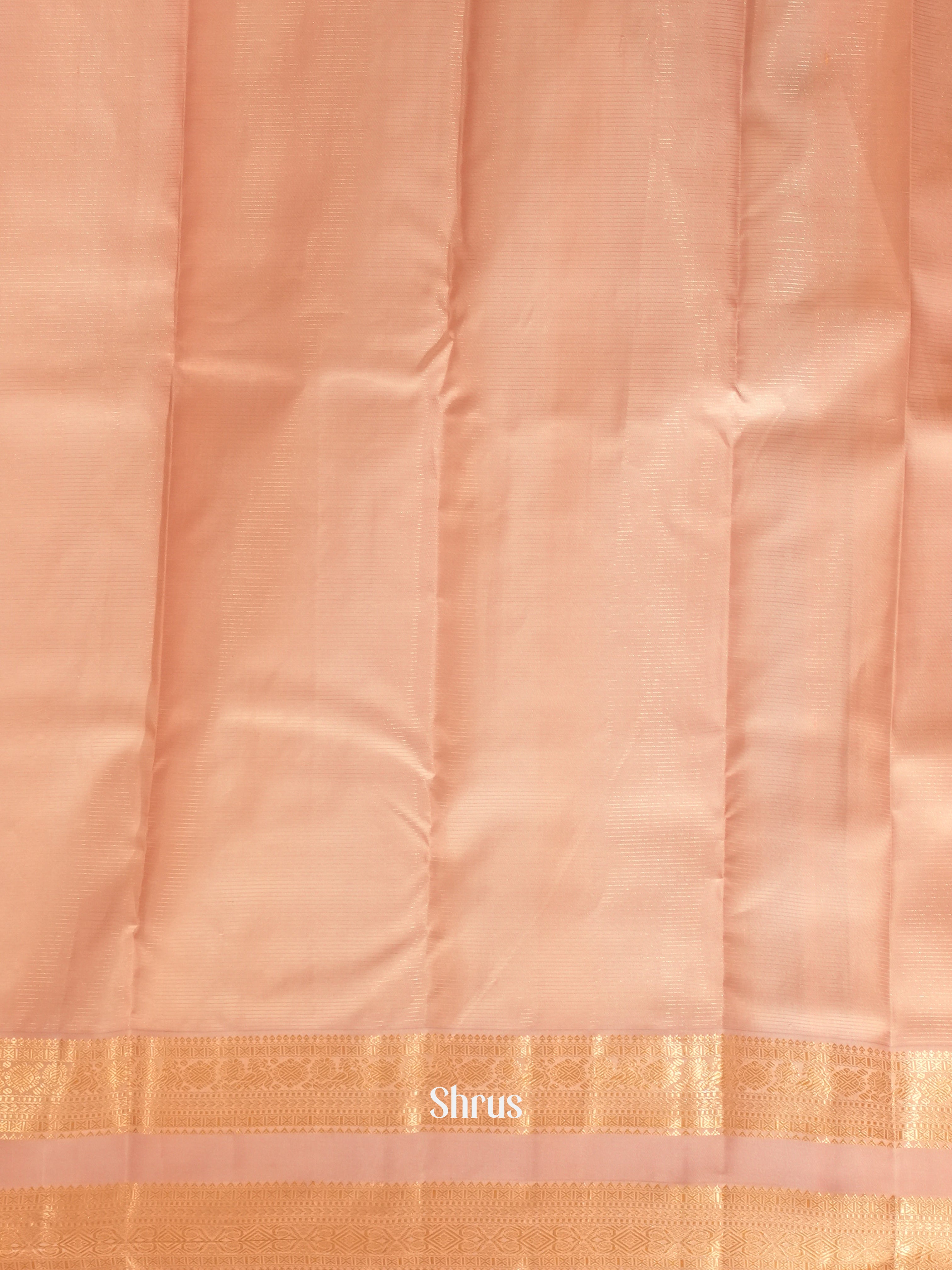 Violet & Pink - Korvai Kanchipuram silk Saree