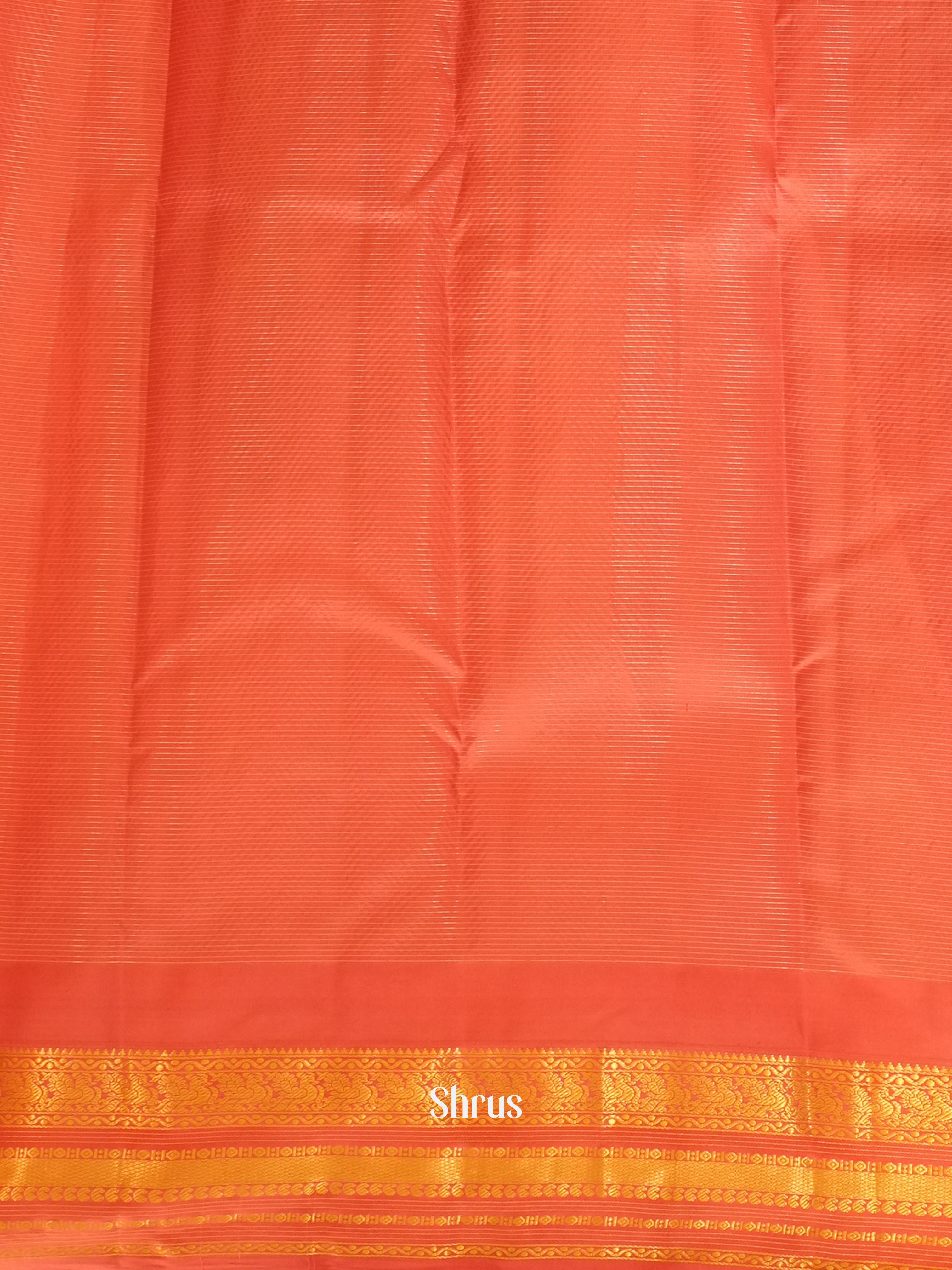 Green & Orangish Pink - Korvai Kanchipuram silk Saree