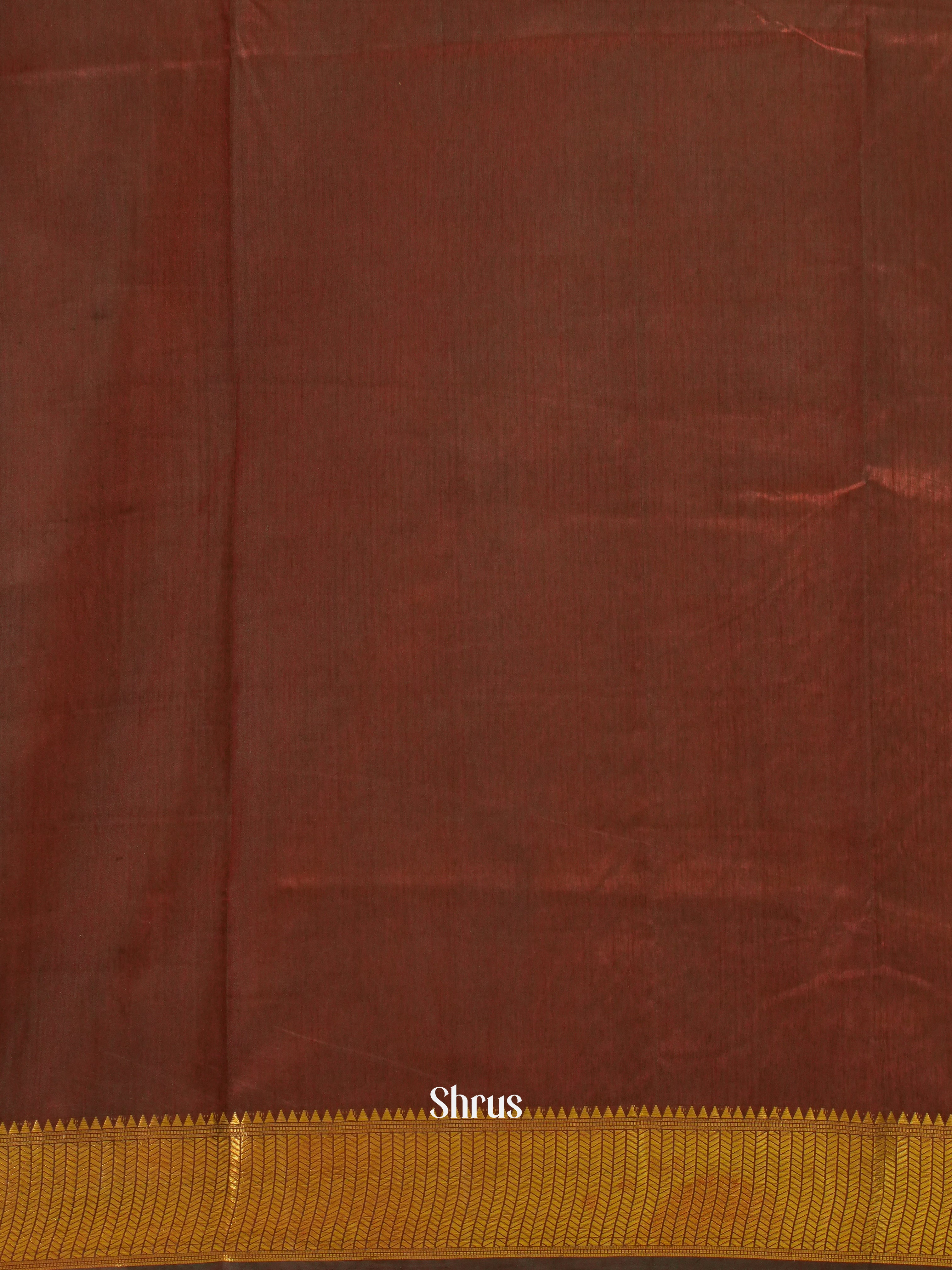 Green & Brown - Semi Patola Saree