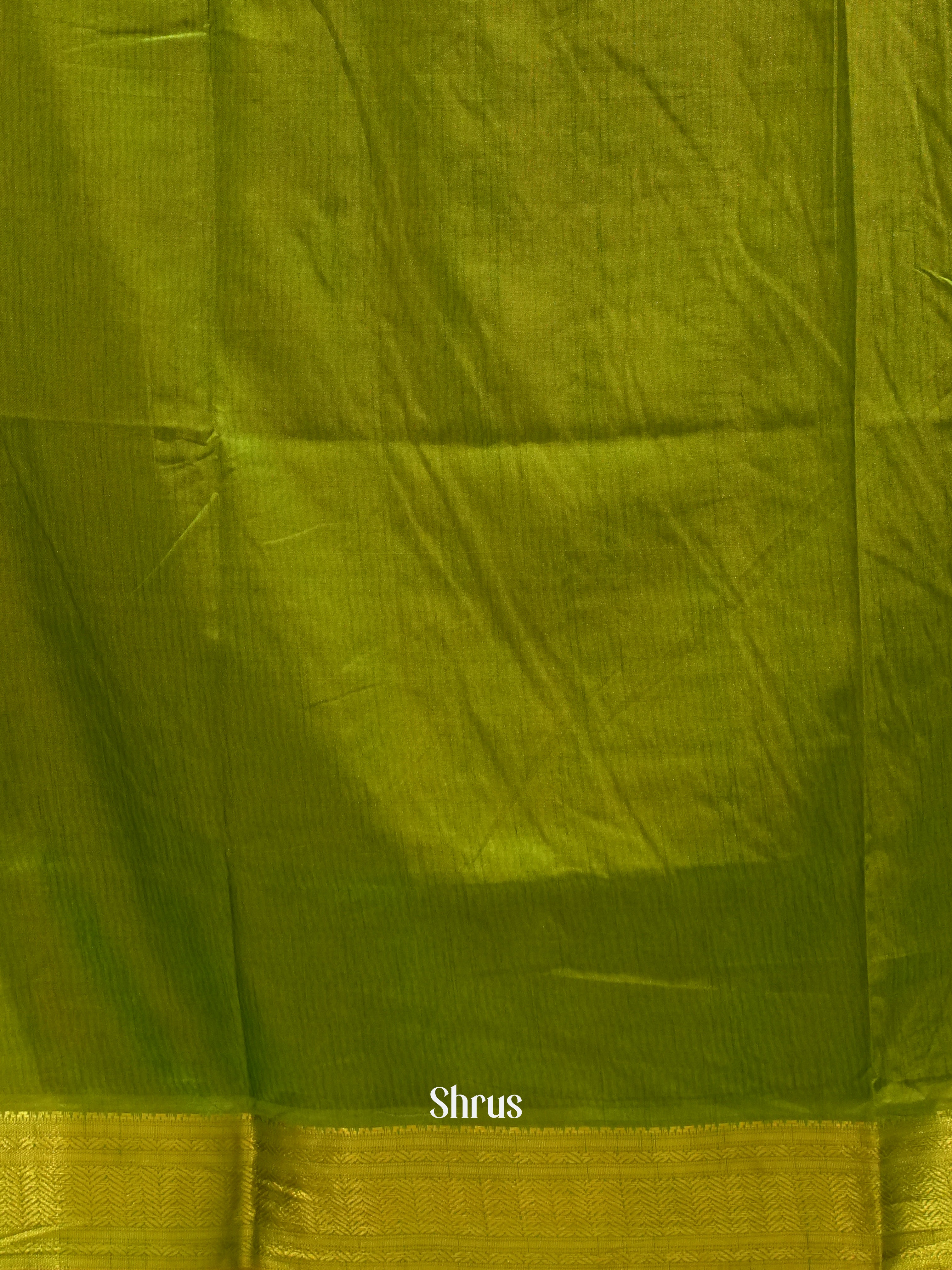 Brown & Green - Semi Patola Saree