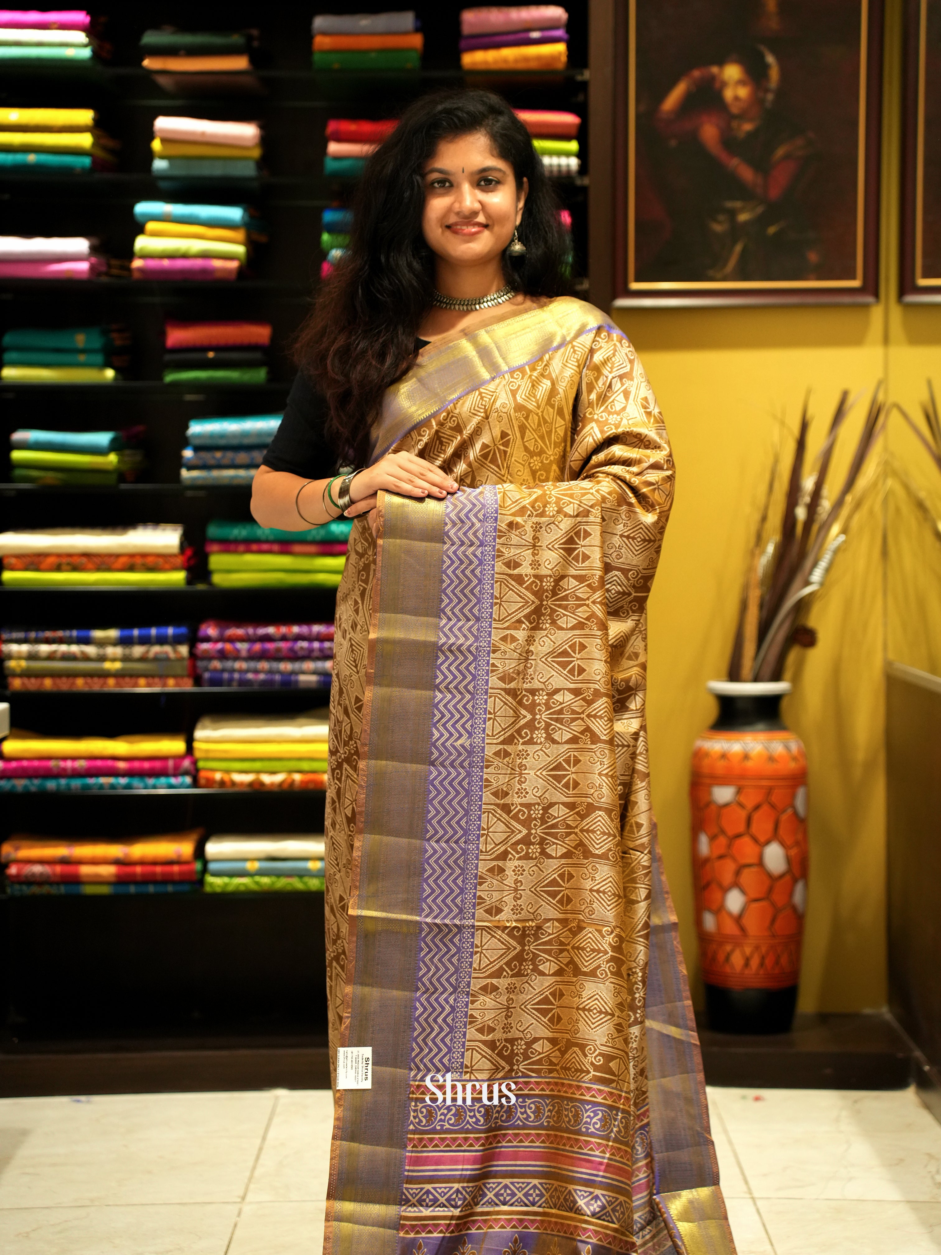 Brown & Purple  - Semi Patola Saree